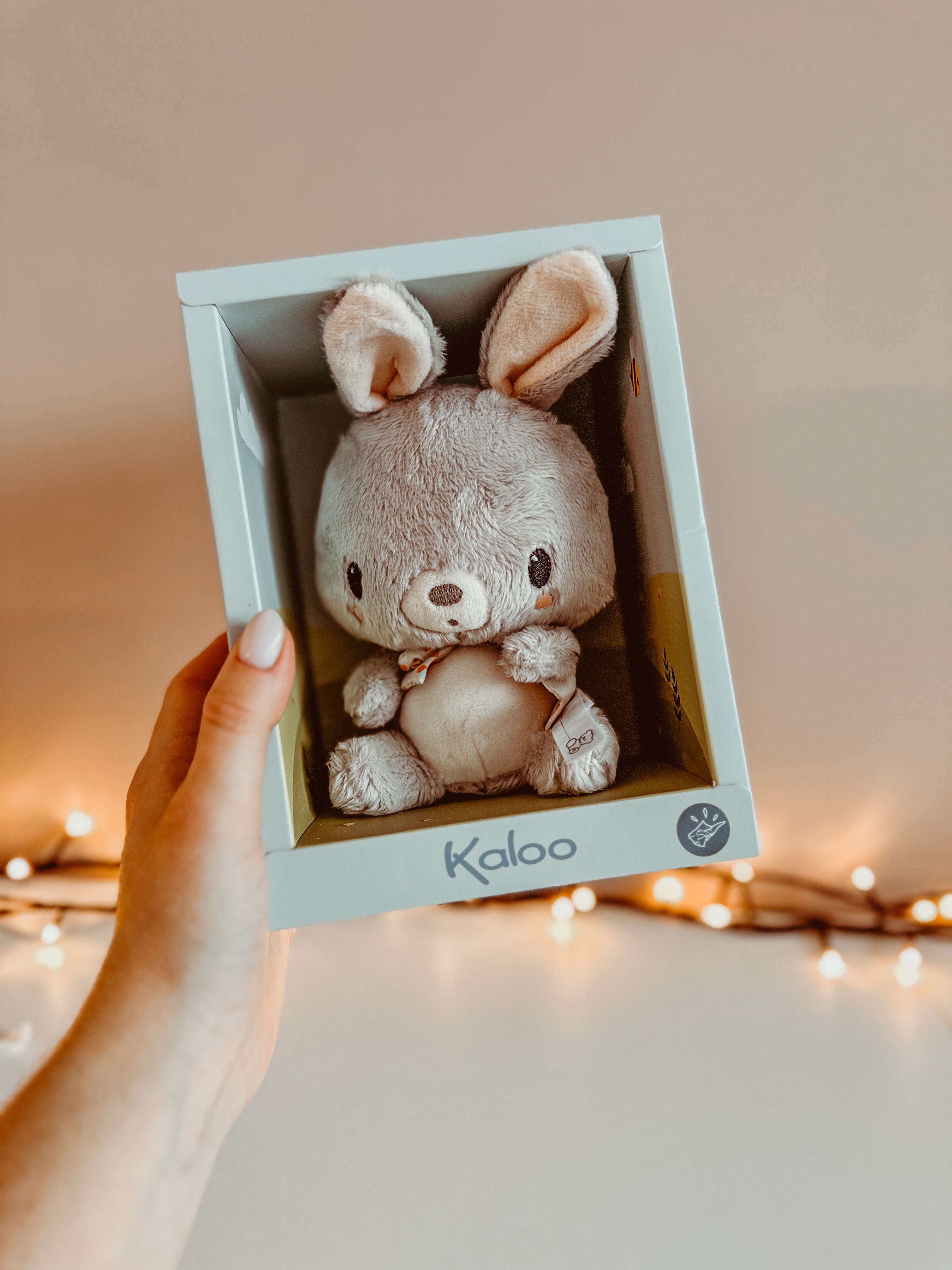 🐰 Bonbon konijn 🐰