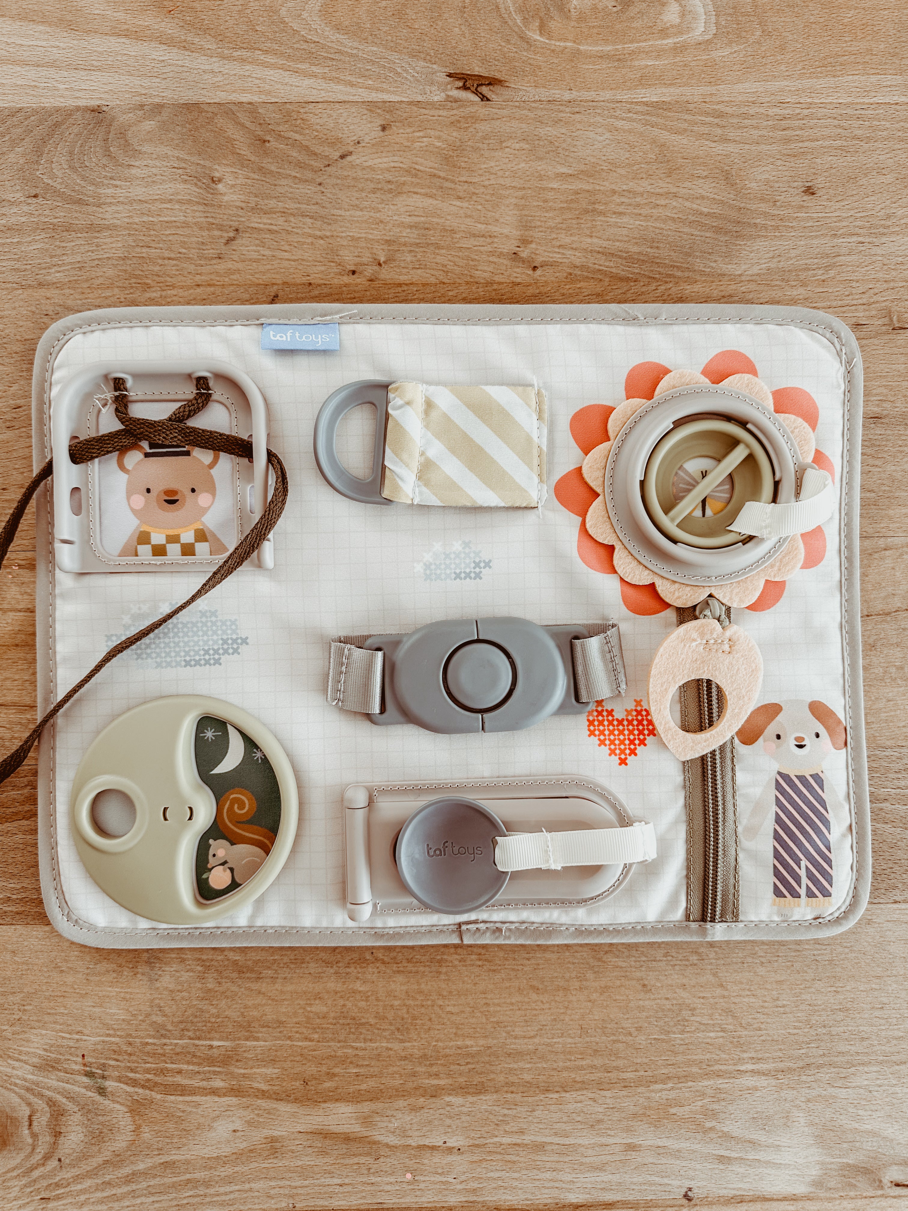 πΆ Snap βn learn β’ busy board πΆ