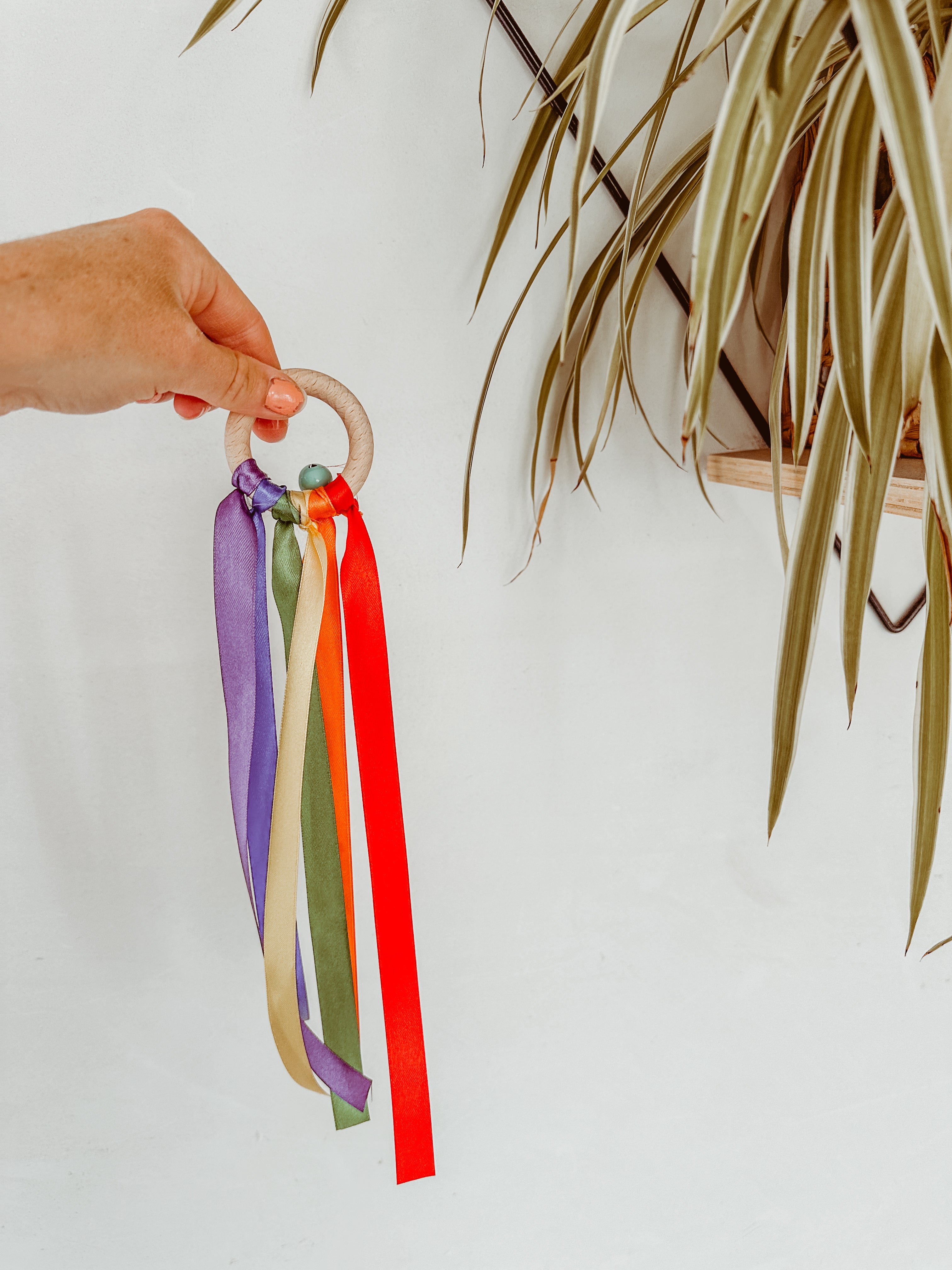 Bijtring met regenbooglinten