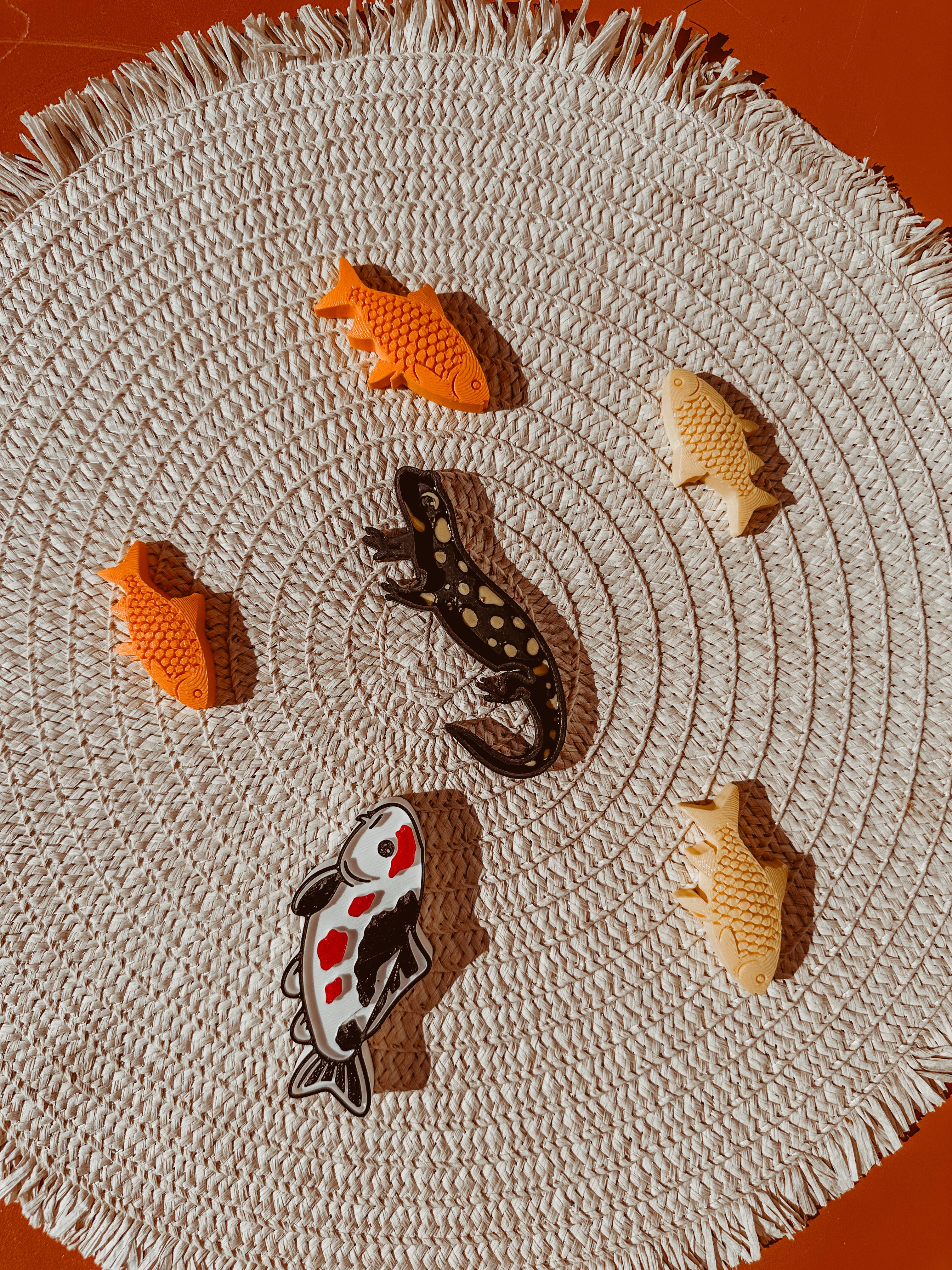 Loose parts: vijverbewoners 💦