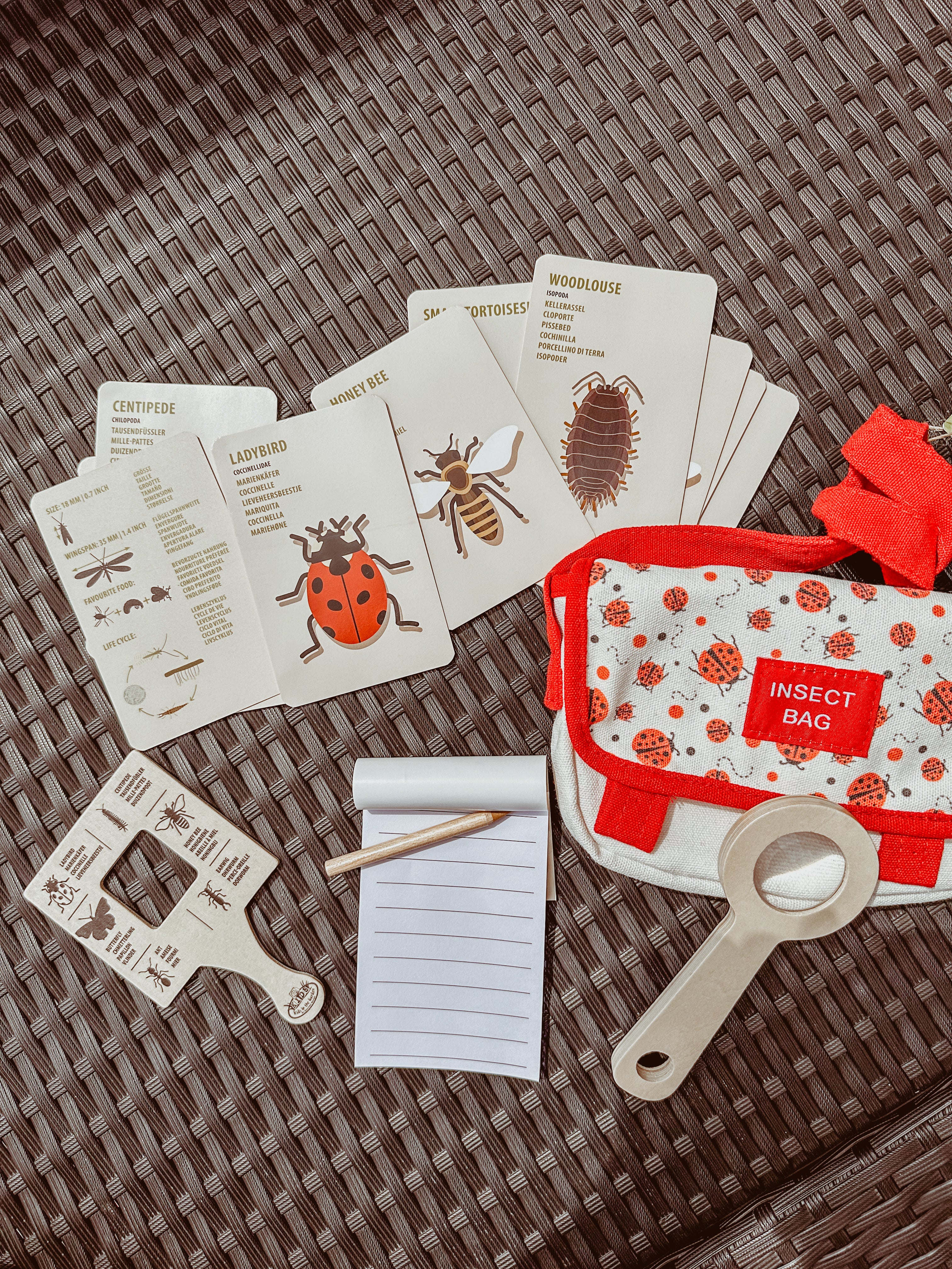 🐞 Ontdekkerstas: insecten 🐞