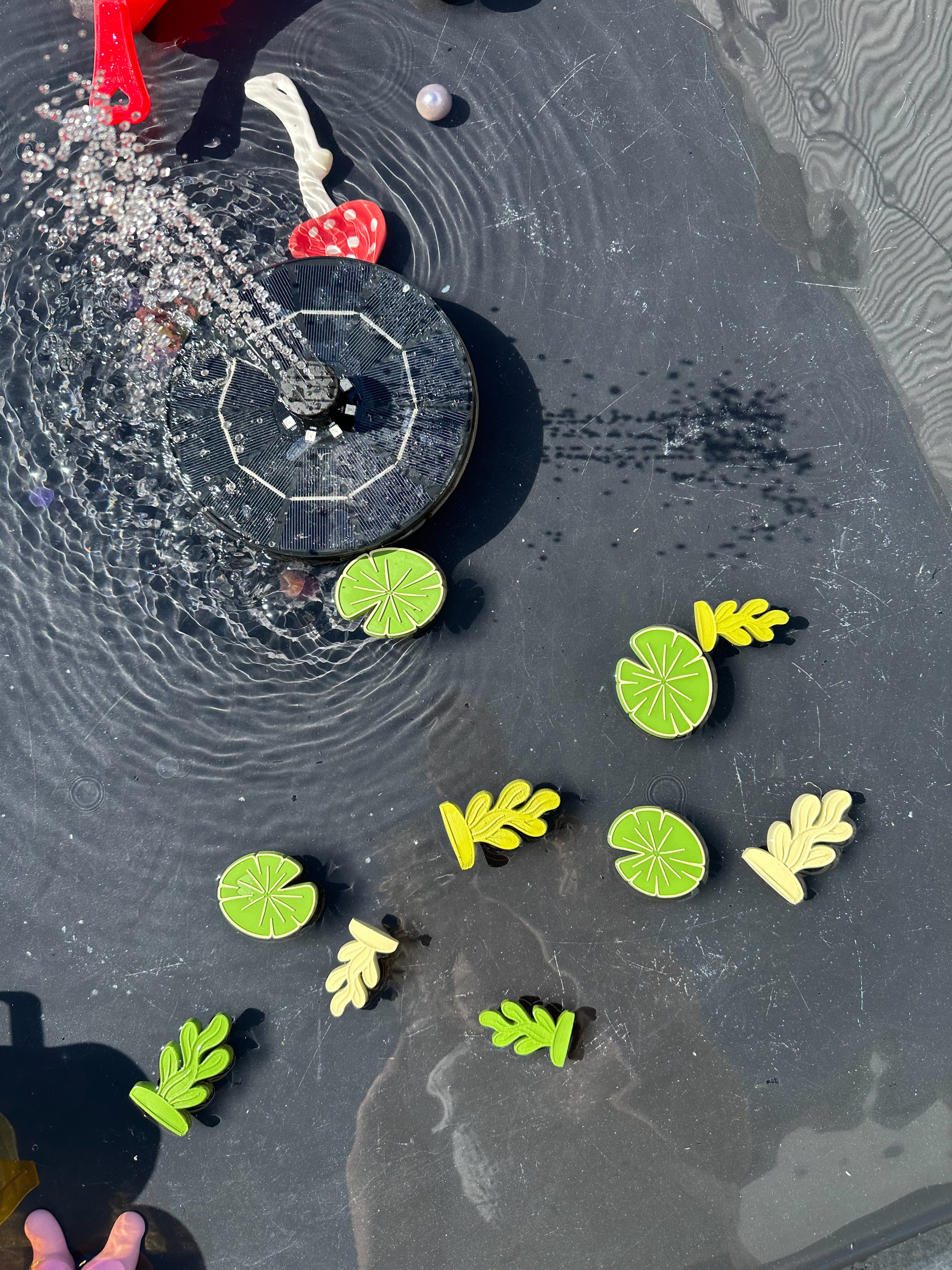 Loose parts: vijverplanten 💦