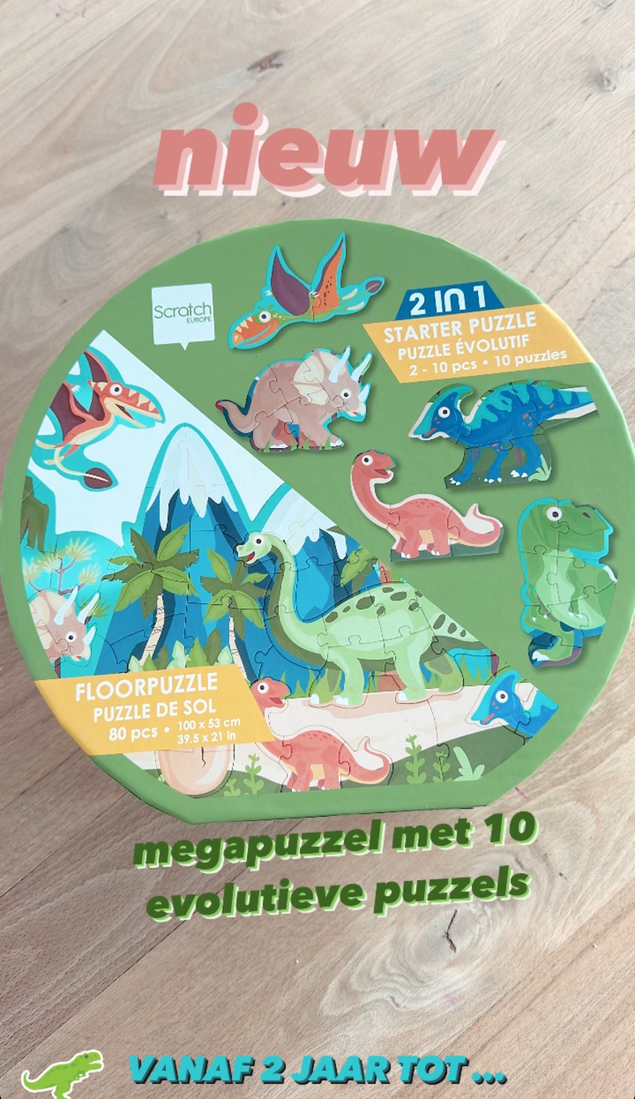 Vloerpuzzel - dino 🦖