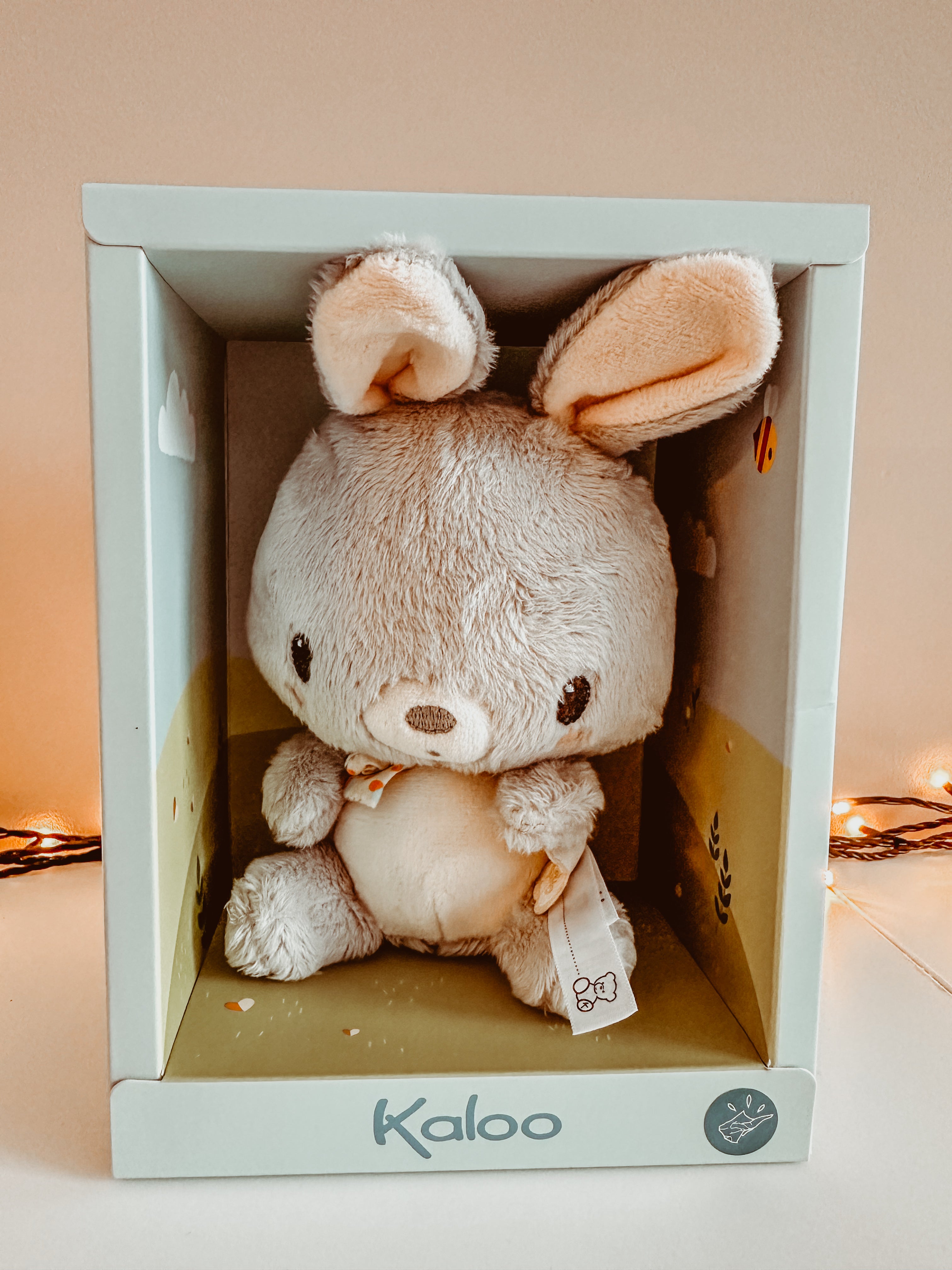 🐰 Bonbon konijn 🐰