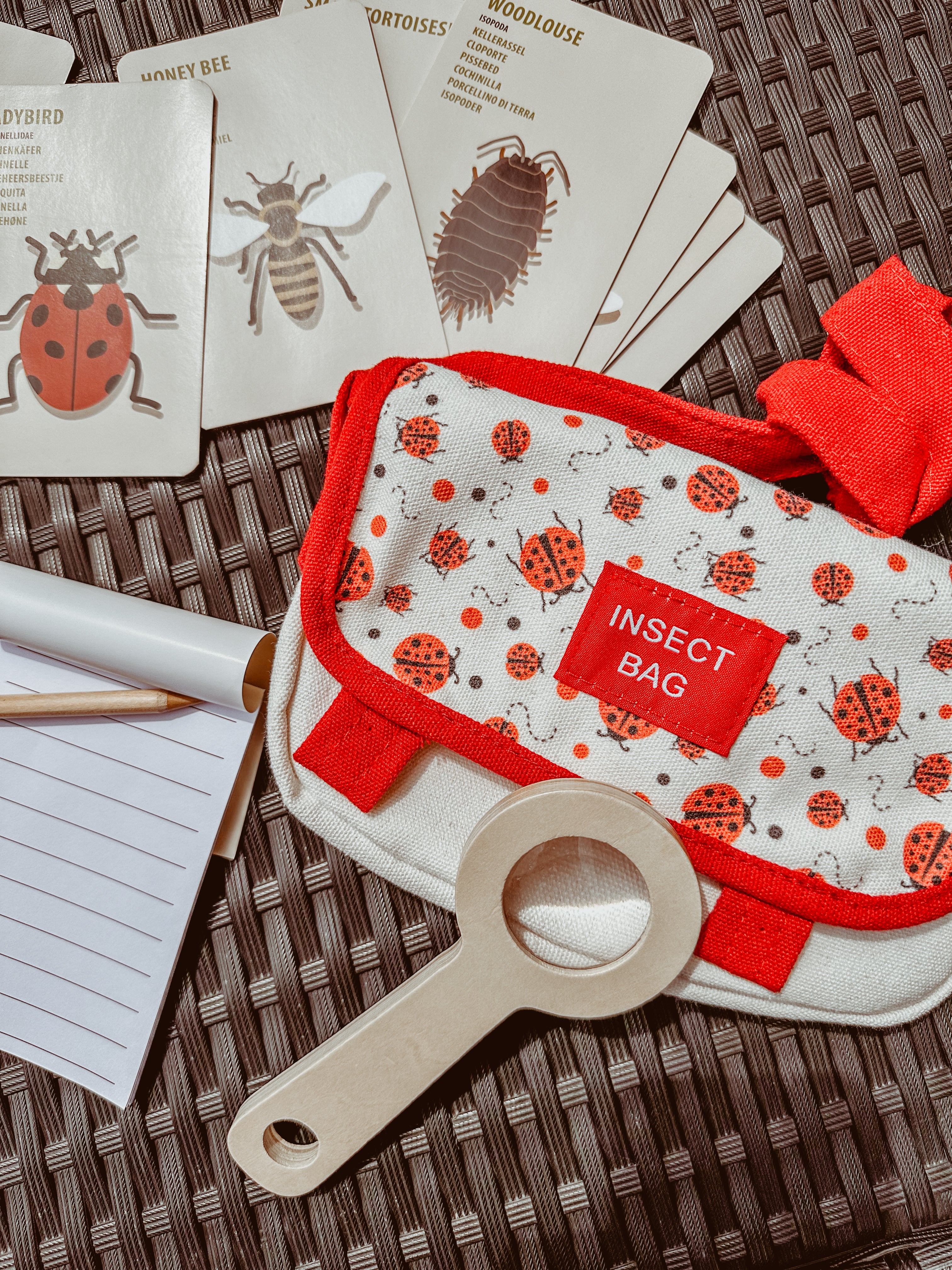 🐞 Ontdekkerstas: insecten 🐞