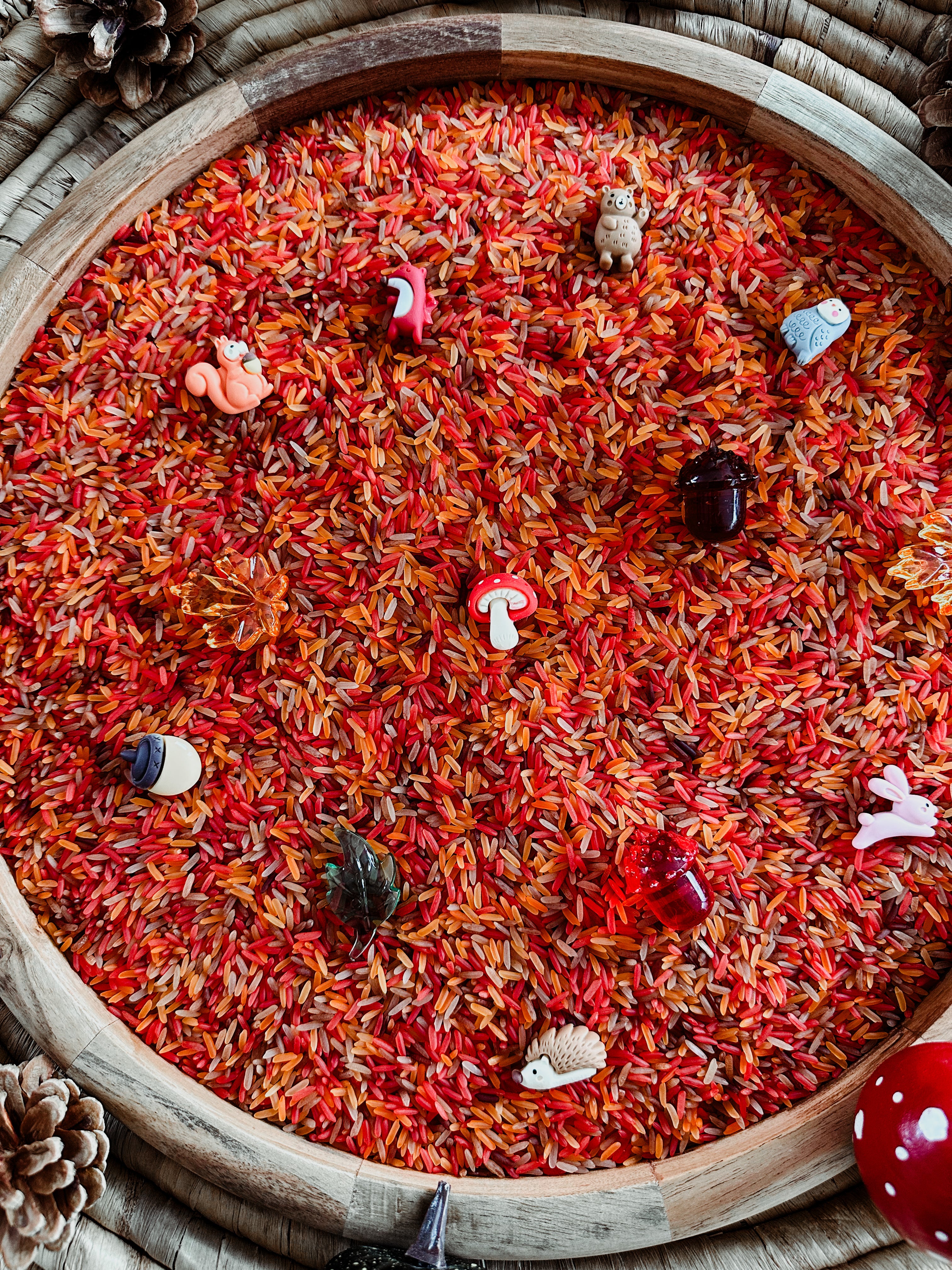 🍁 rijstpakket: thema herfst 🍂