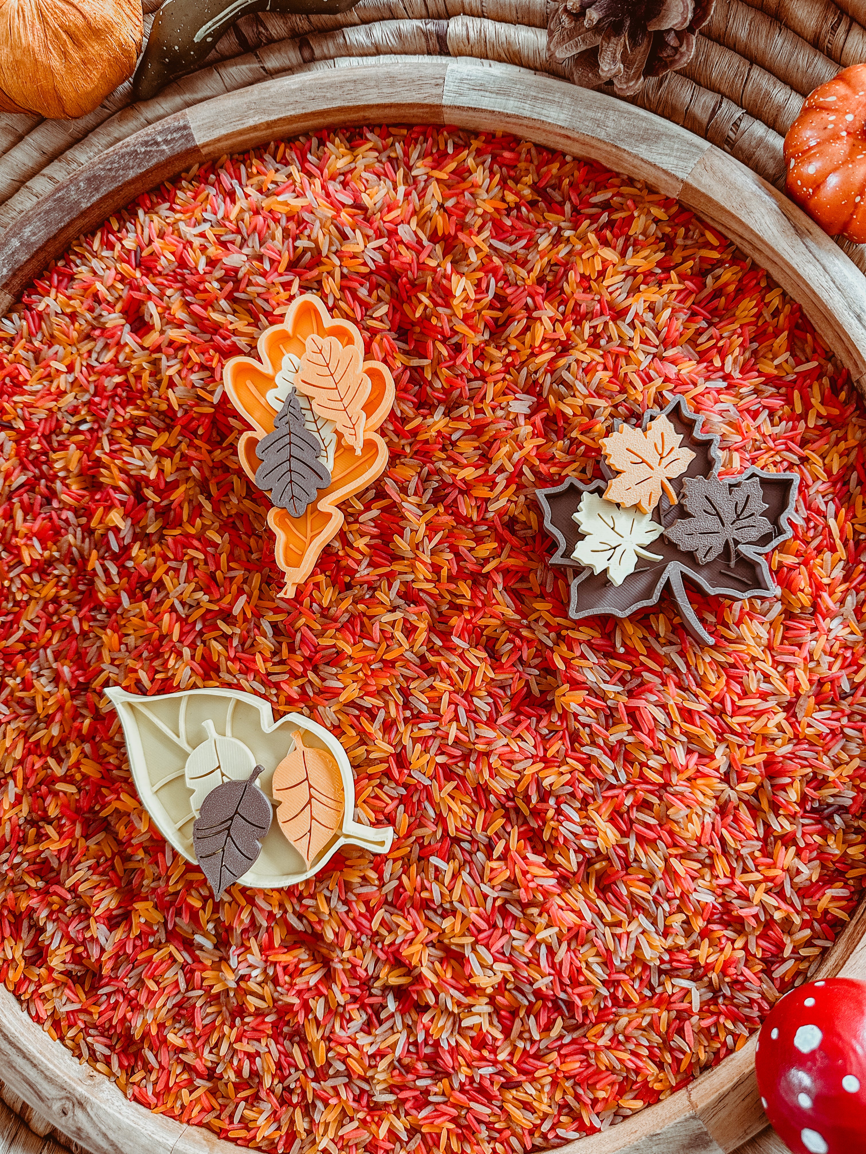 Speel- en sorteerset: herfstblaadjes