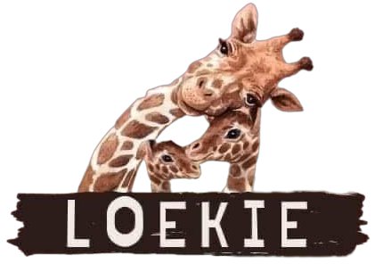 Loekiespeelgoed