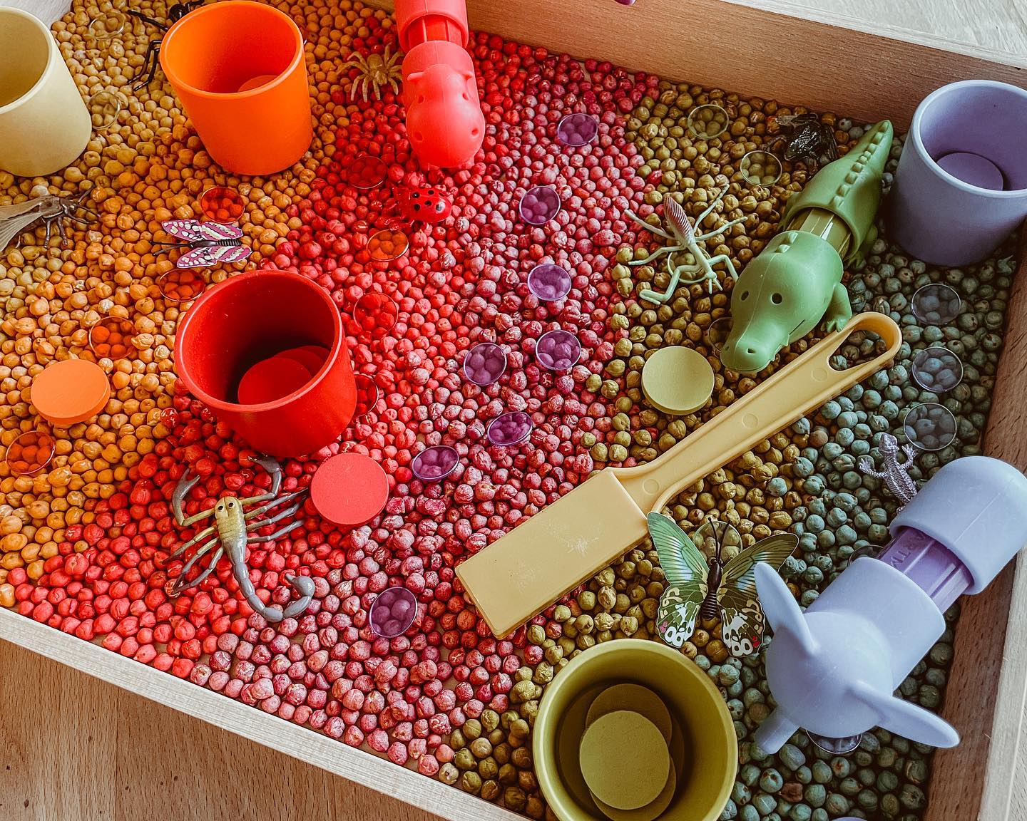 Sensorische box in regenboogkleuren