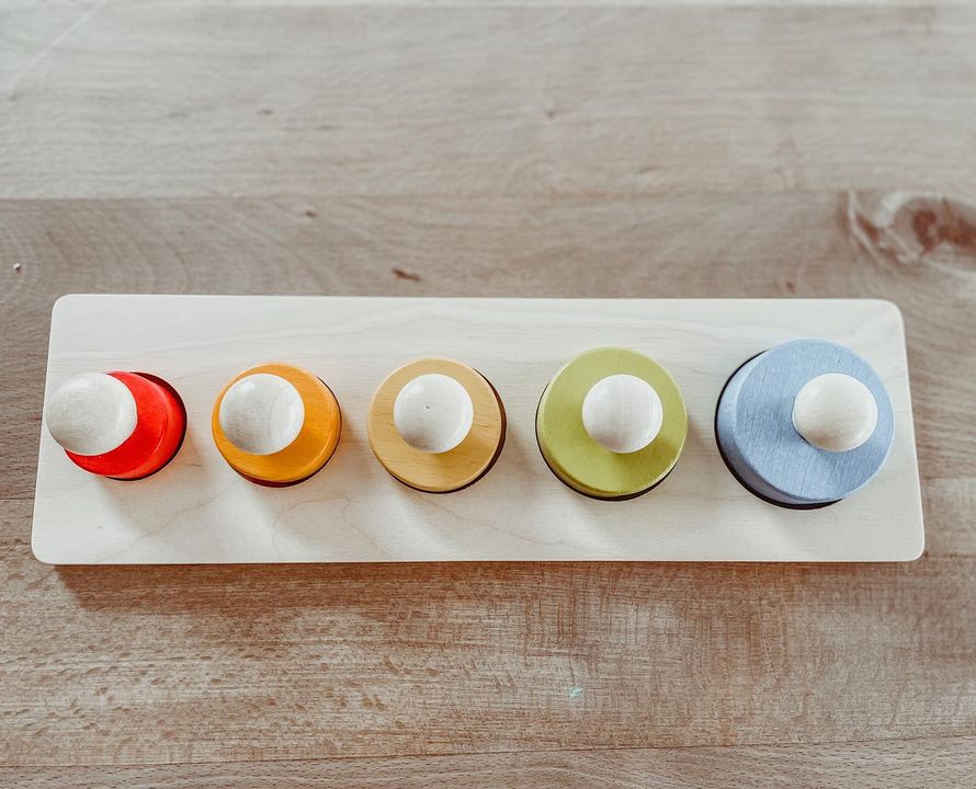 Montessori puzzel met cirkels