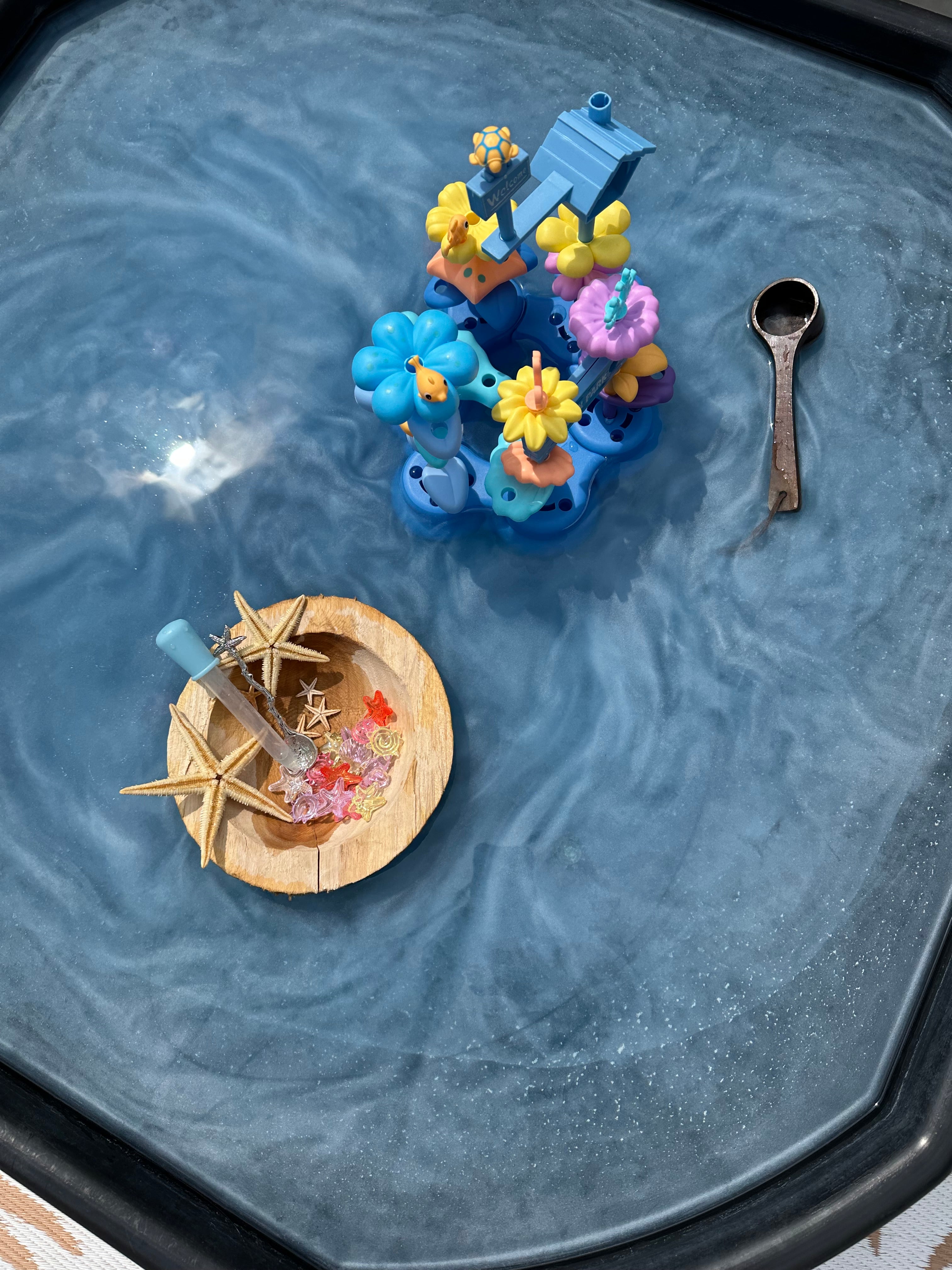 🌊🐠🪸 OCEAANPARK 🪸🐠🌊