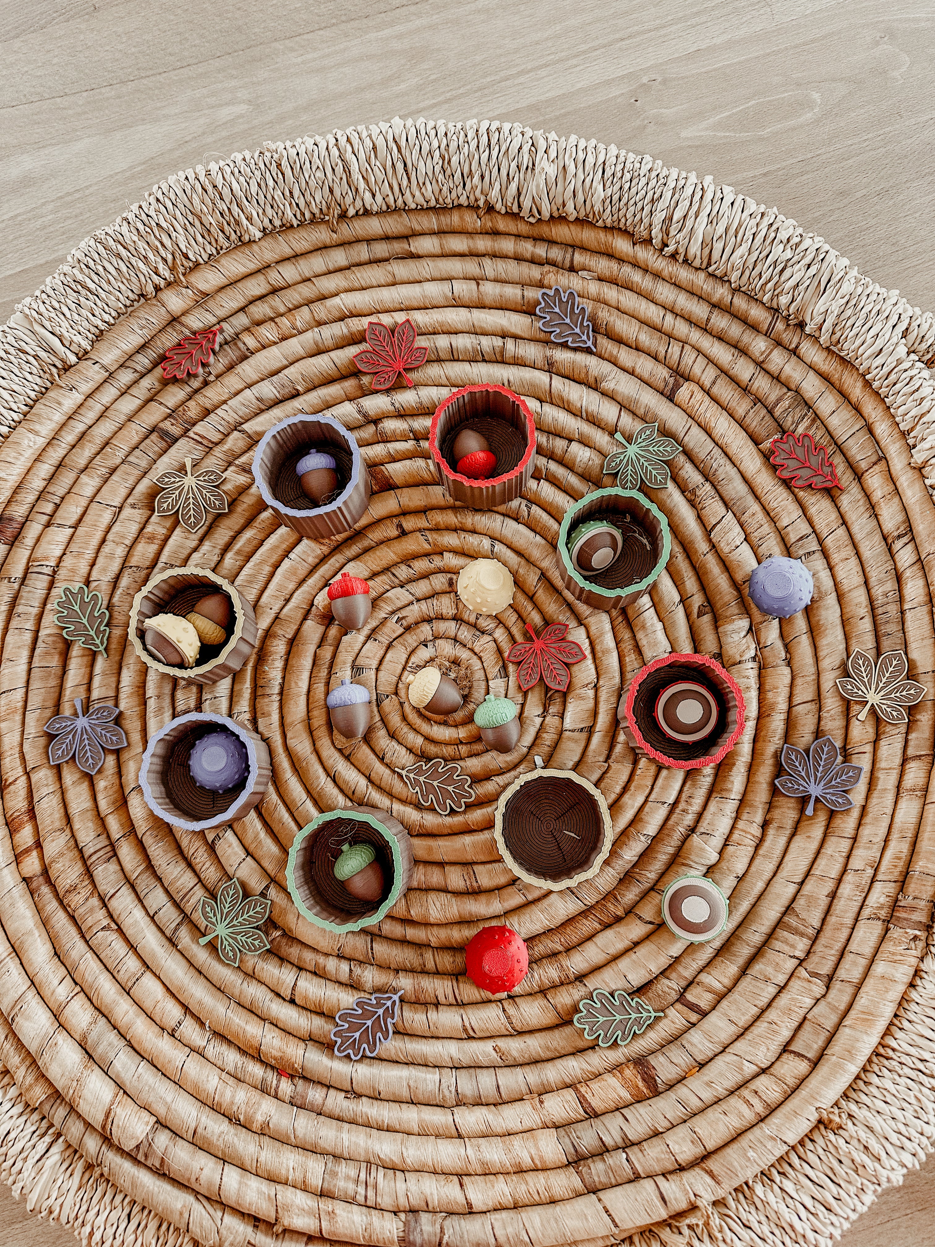 🌳🌰 Het kleurenbos 🌰🌳