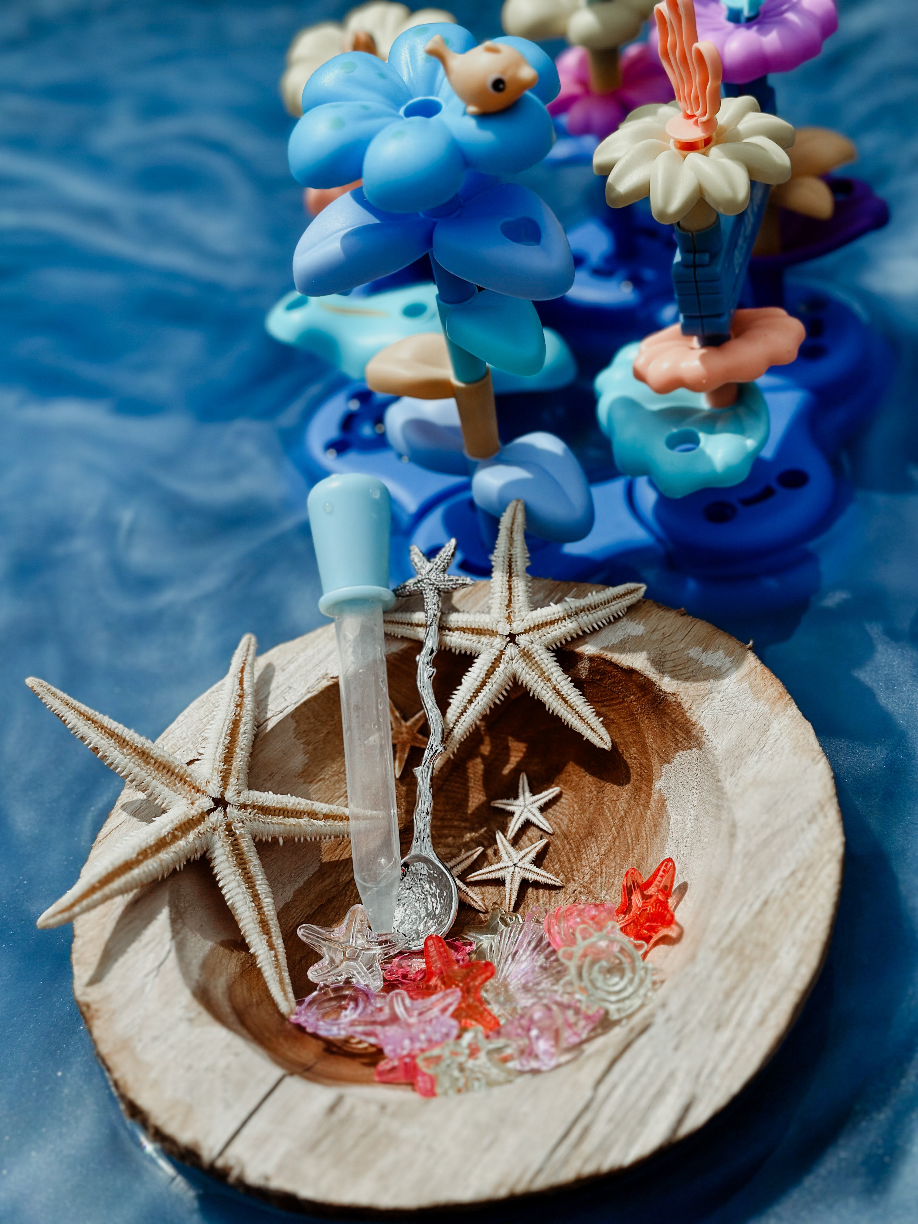 🐚⭐️💦Waterpakket: Oceaan 💦⭐️🐚