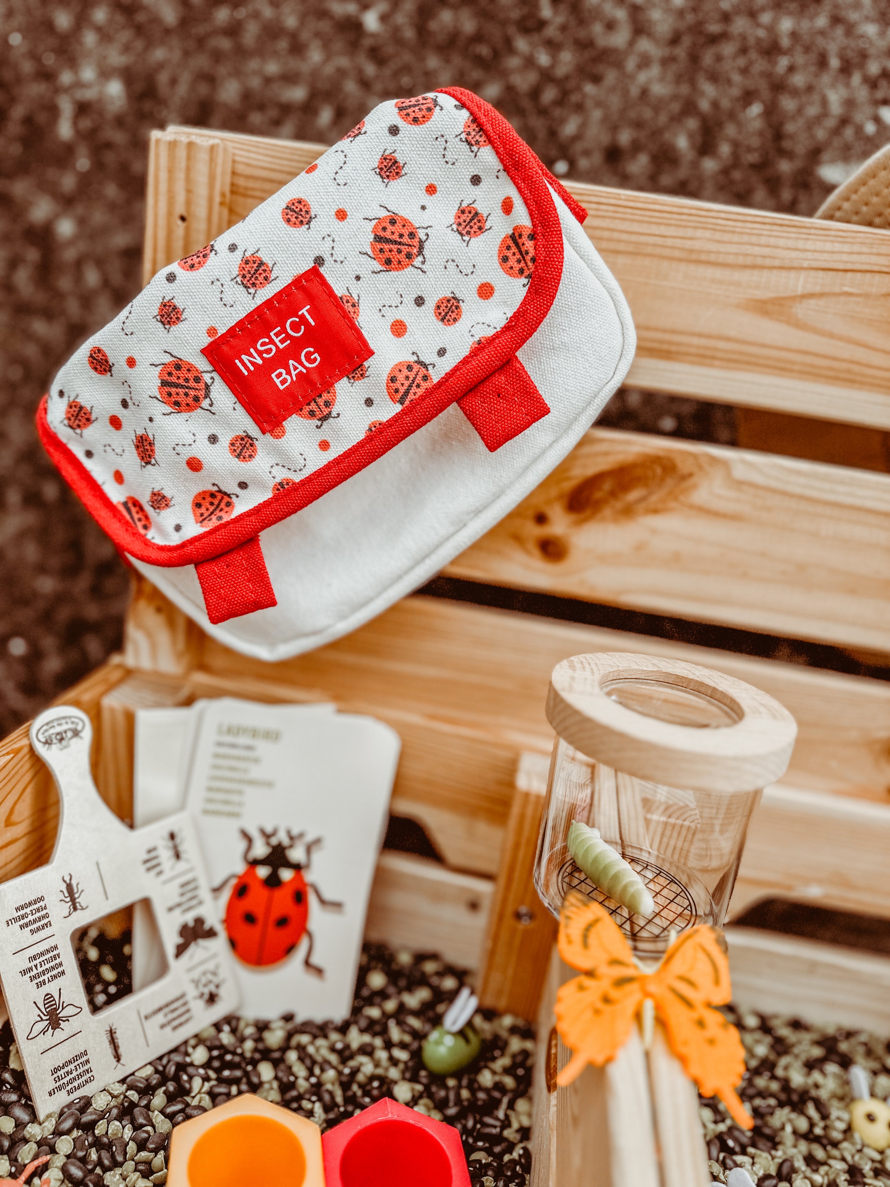 🐝 🔎 🐞 BUSY BEE ONTDEKBOX 🐞🔍🐝