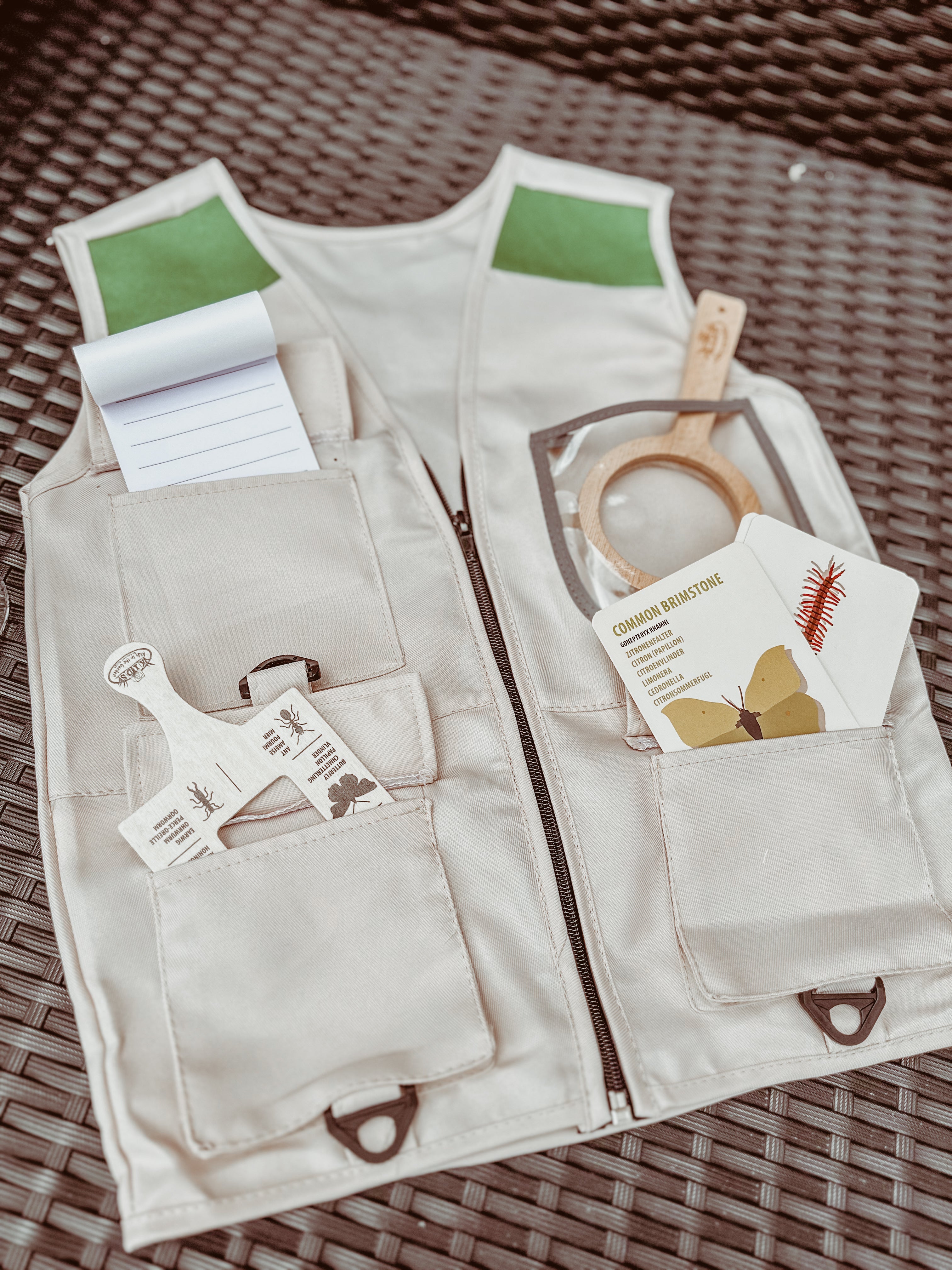 🐝 🔎 🐞 BUSY BEE ONTDEKBOX 🐞🔍🐝