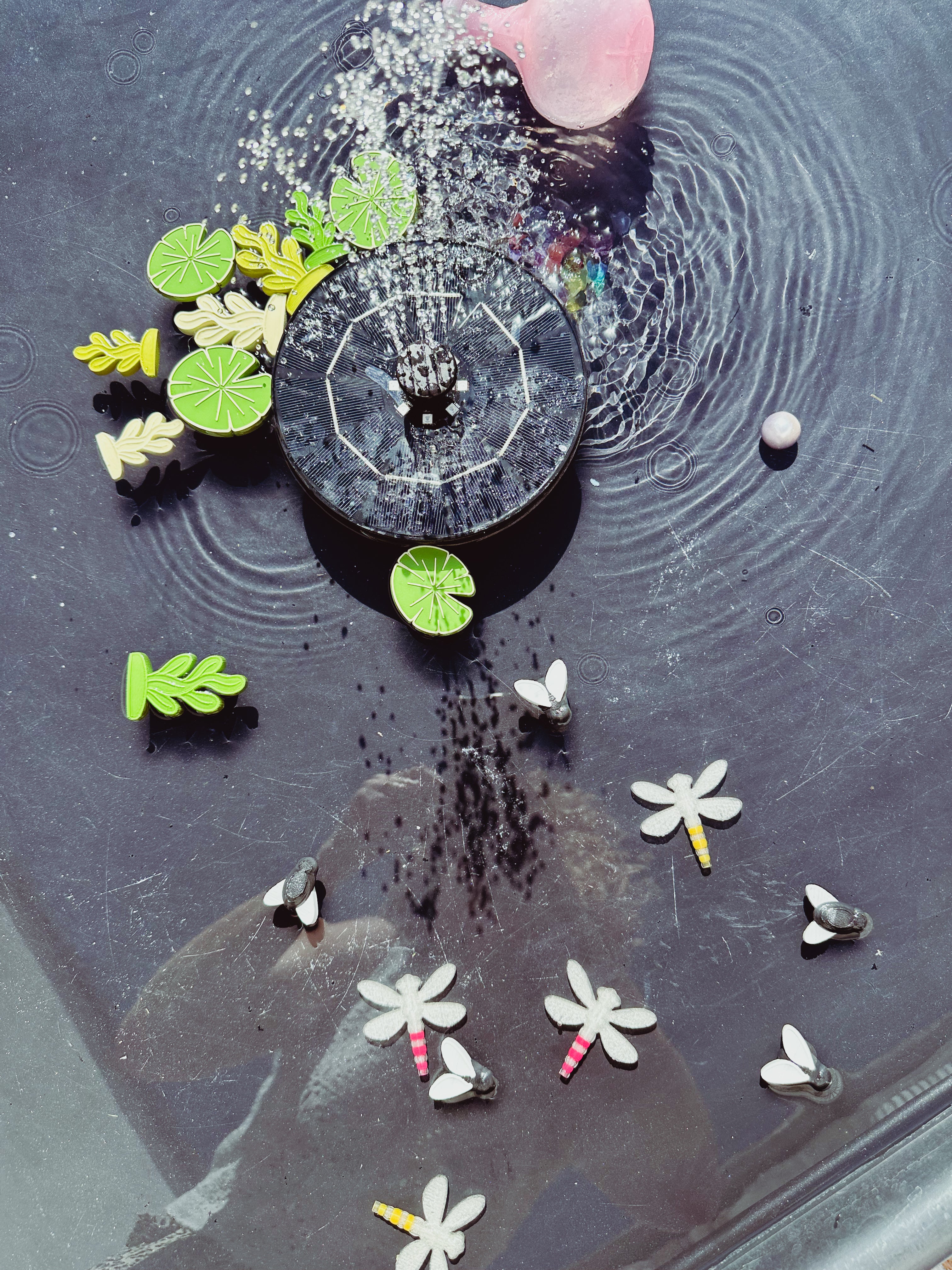 Loose parts: vliegende vijvervriendjes 💦🪰