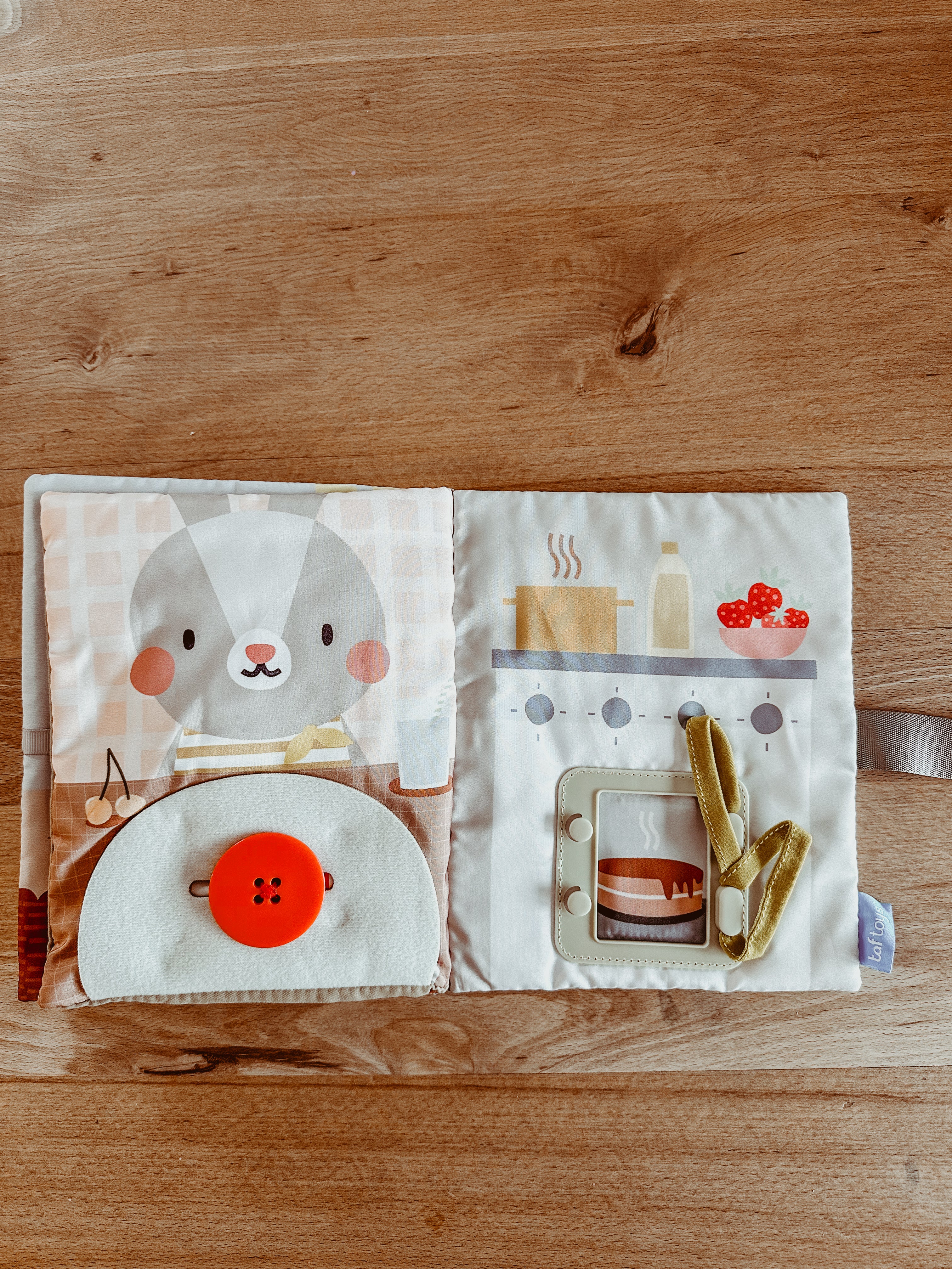 Mijn eerste busyboekje • taf toys  🍓