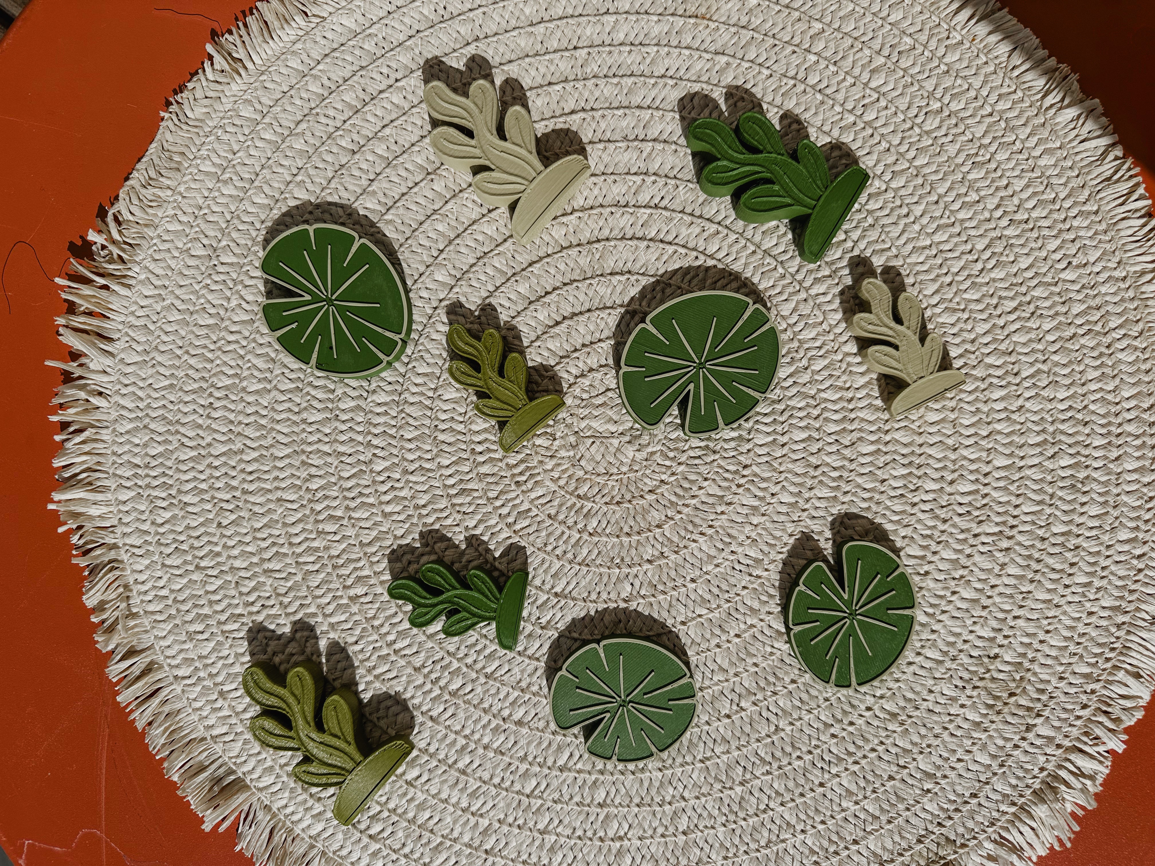 Loose parts: vijverplanten 💦