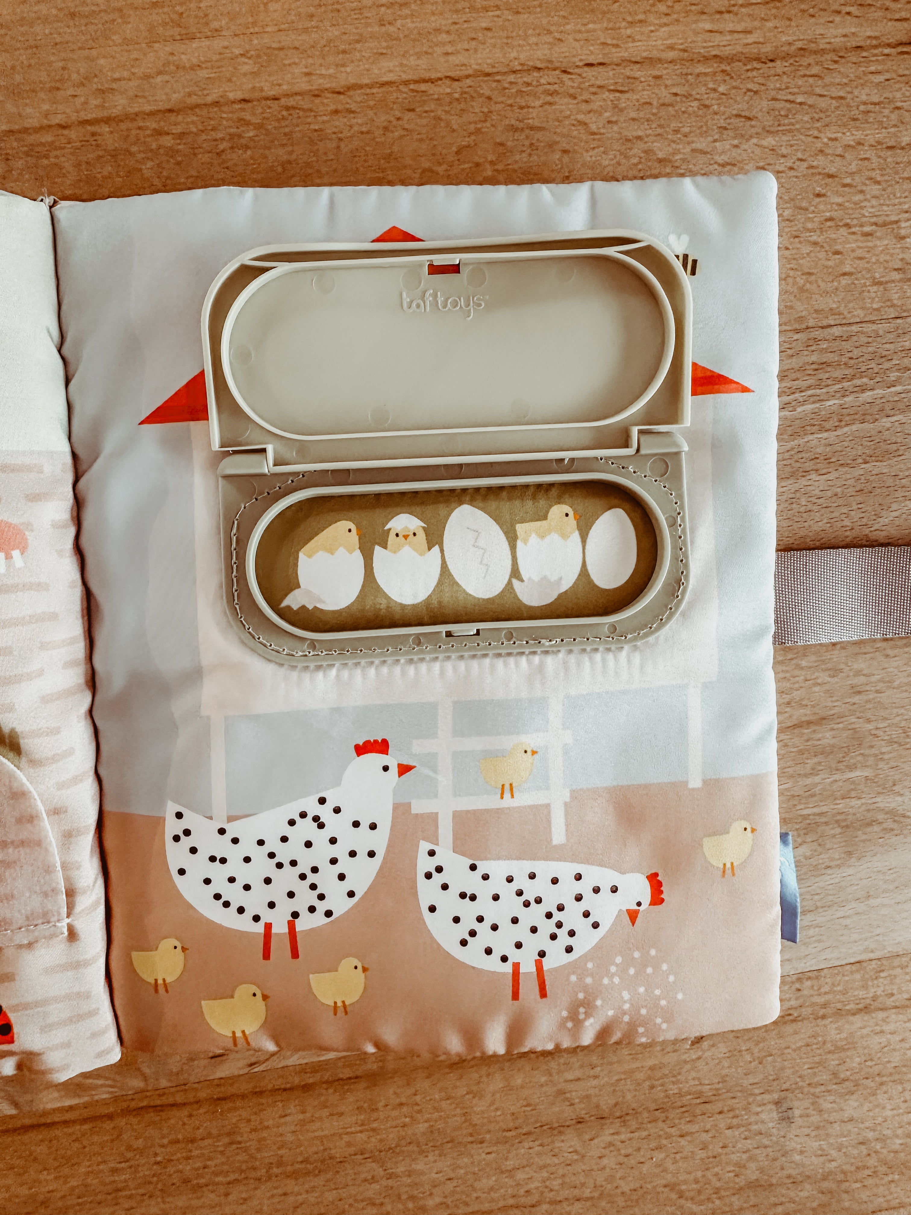 Mijn eerste busyboekje • taf toys  🍓