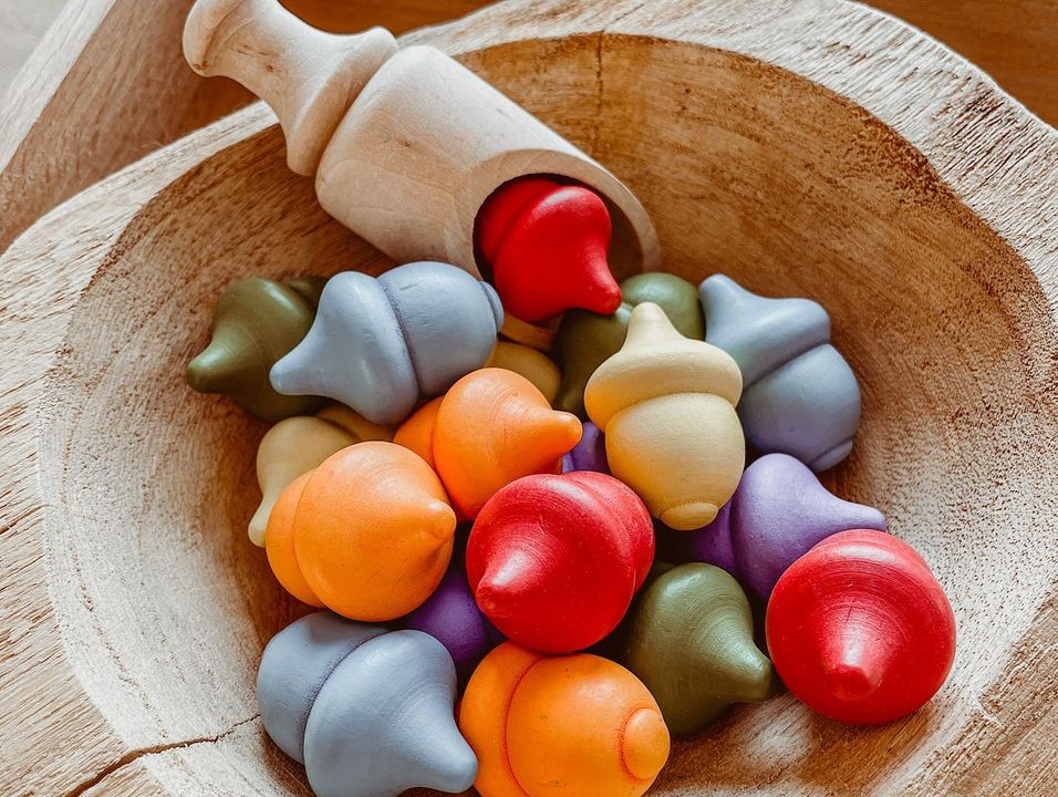 Houten eikeltjes  met gekleurde houten potjes