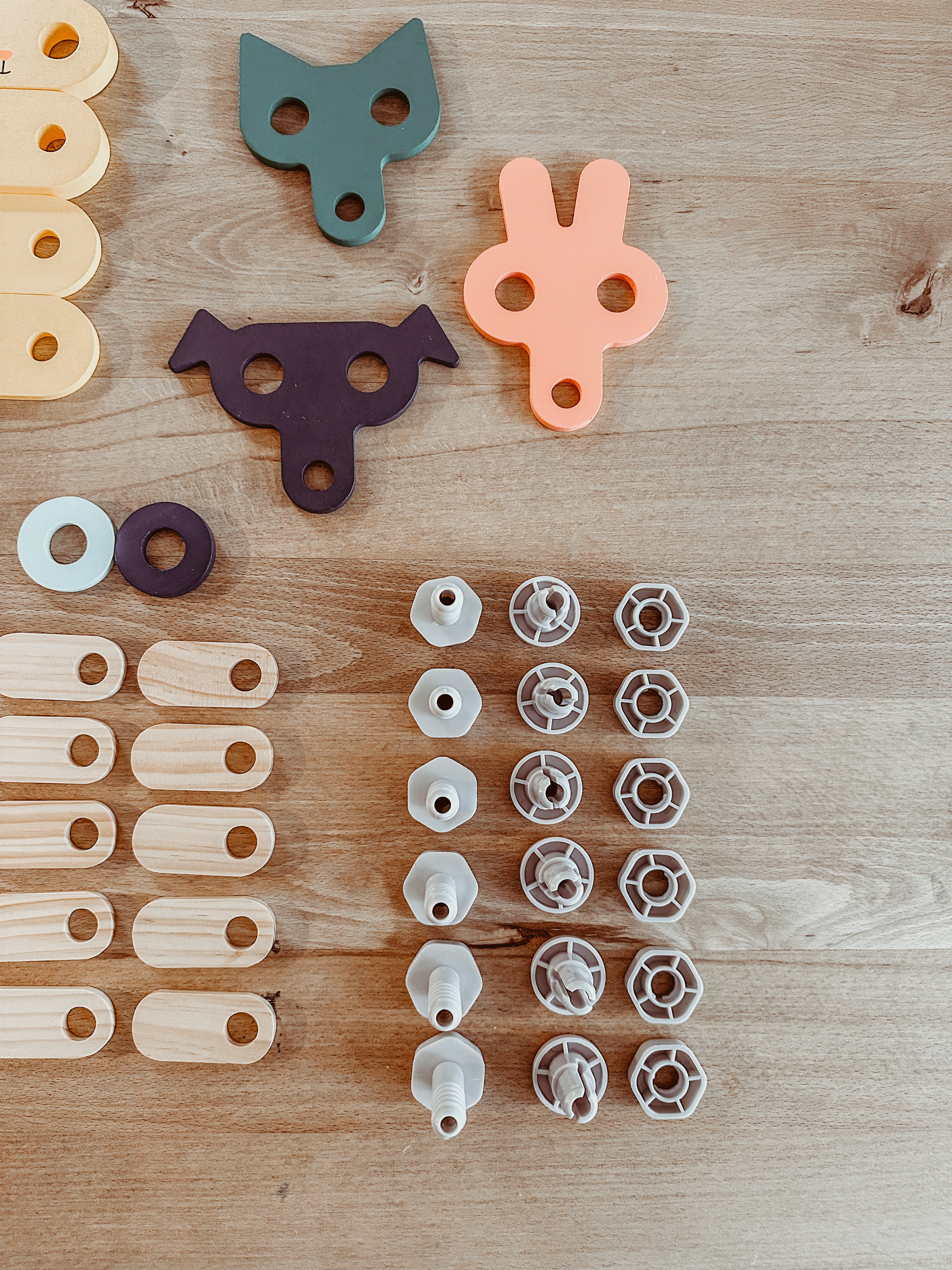 🔧Bouwset ‘diertjes’ • Brico’kids 🔧