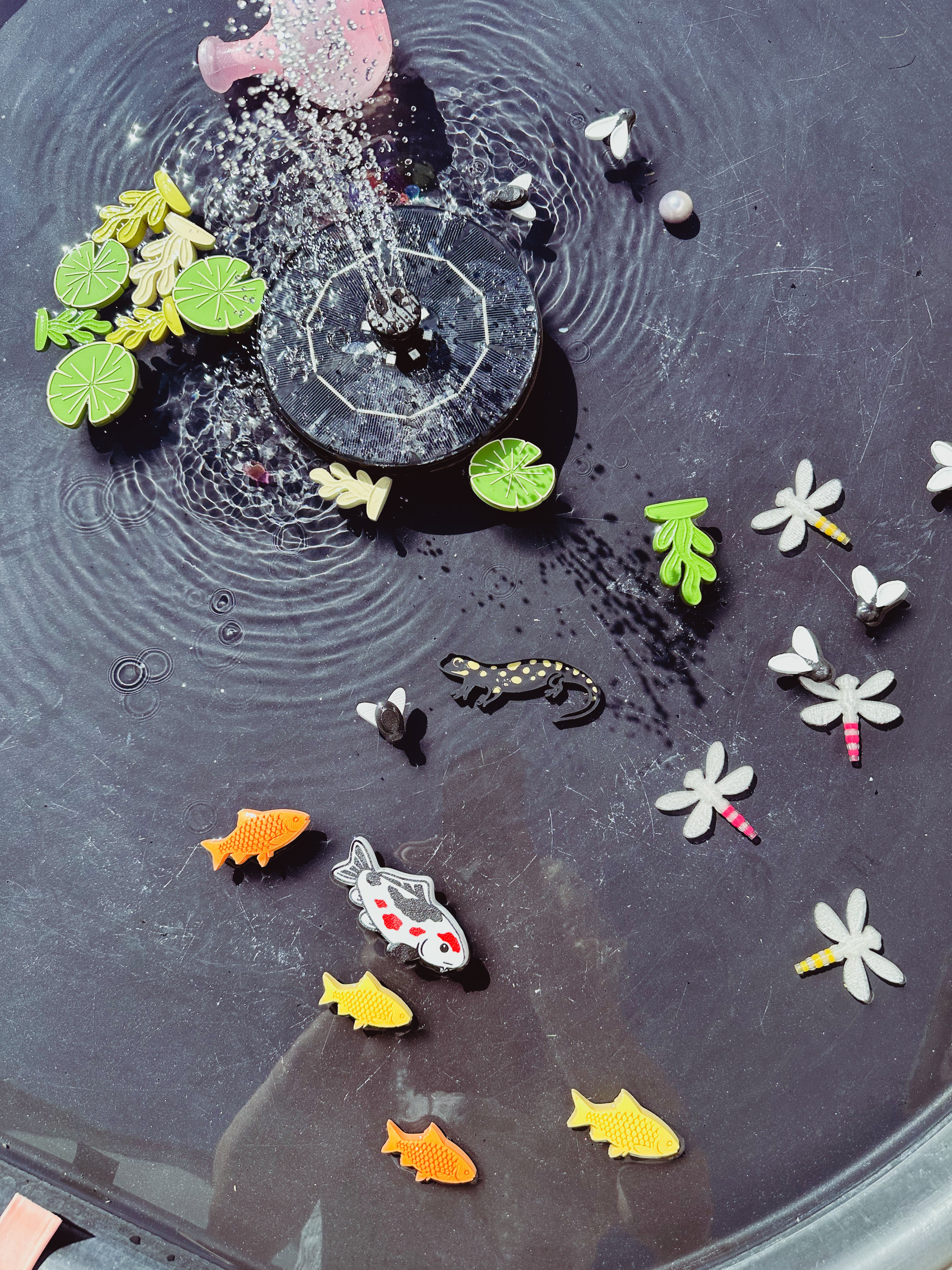 Loose parts: vijverbewoners 💦