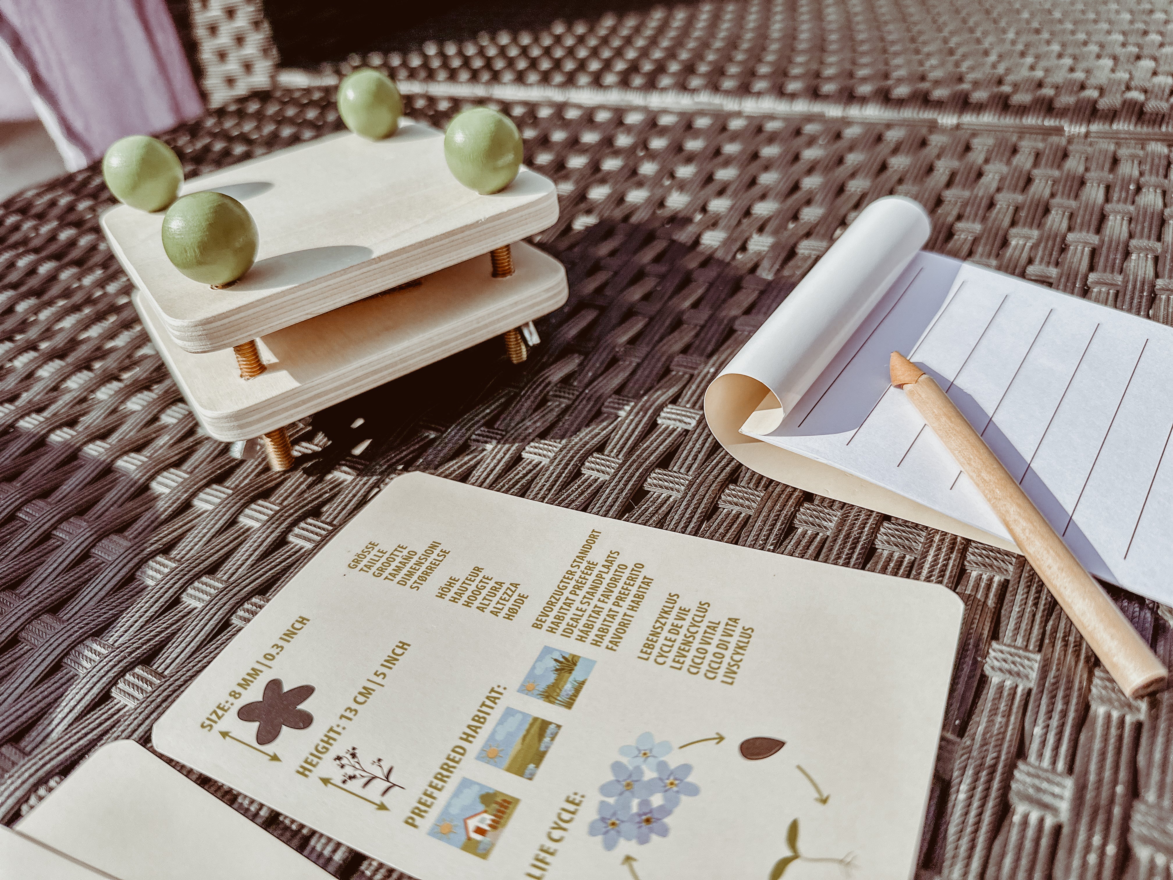 🌸 Ontdekkerstas: bloemen 🌸