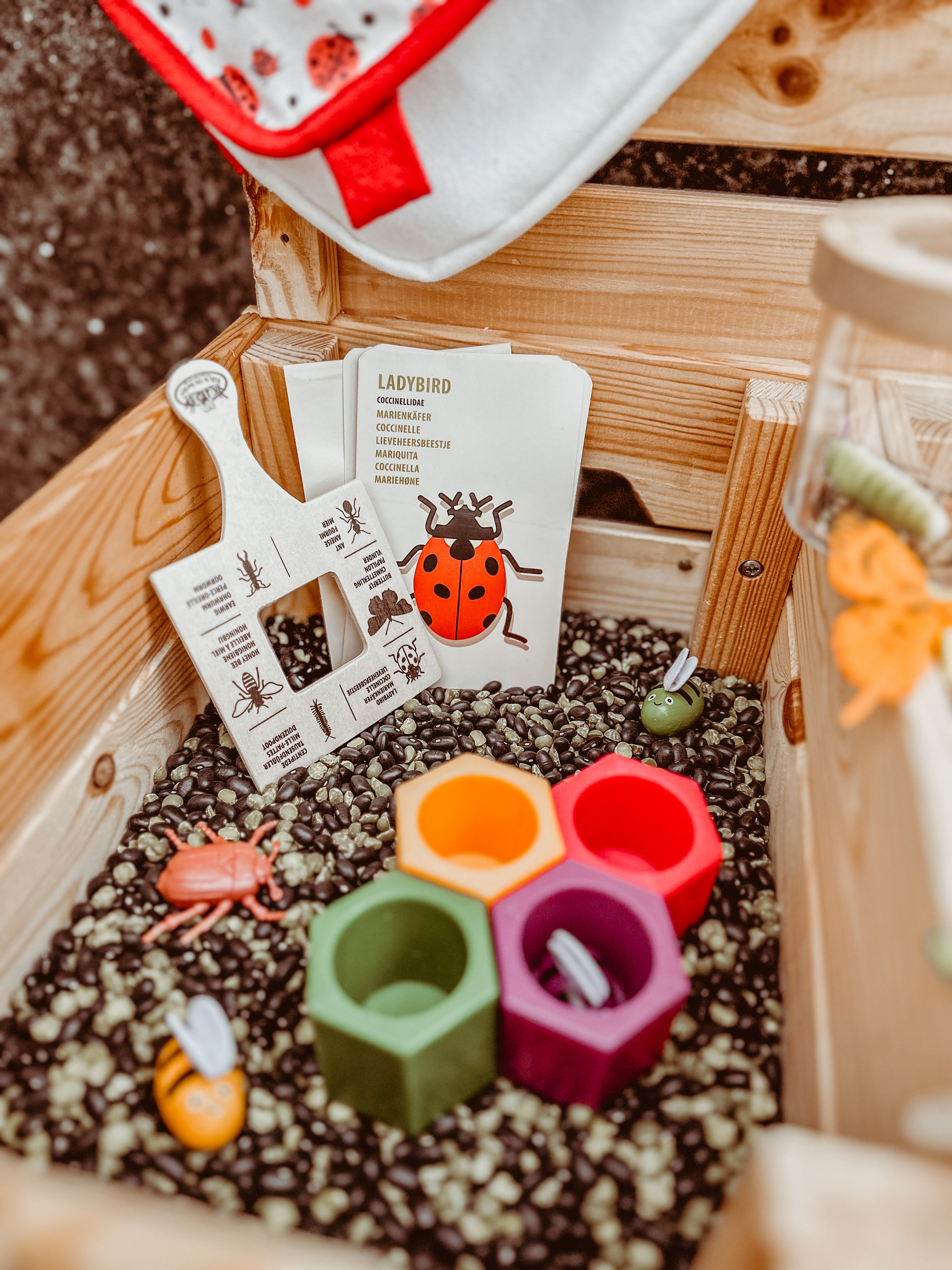 🐝 🔎 🐞 BUSY BEE ONTDEKBOX 🐞🔍🐝