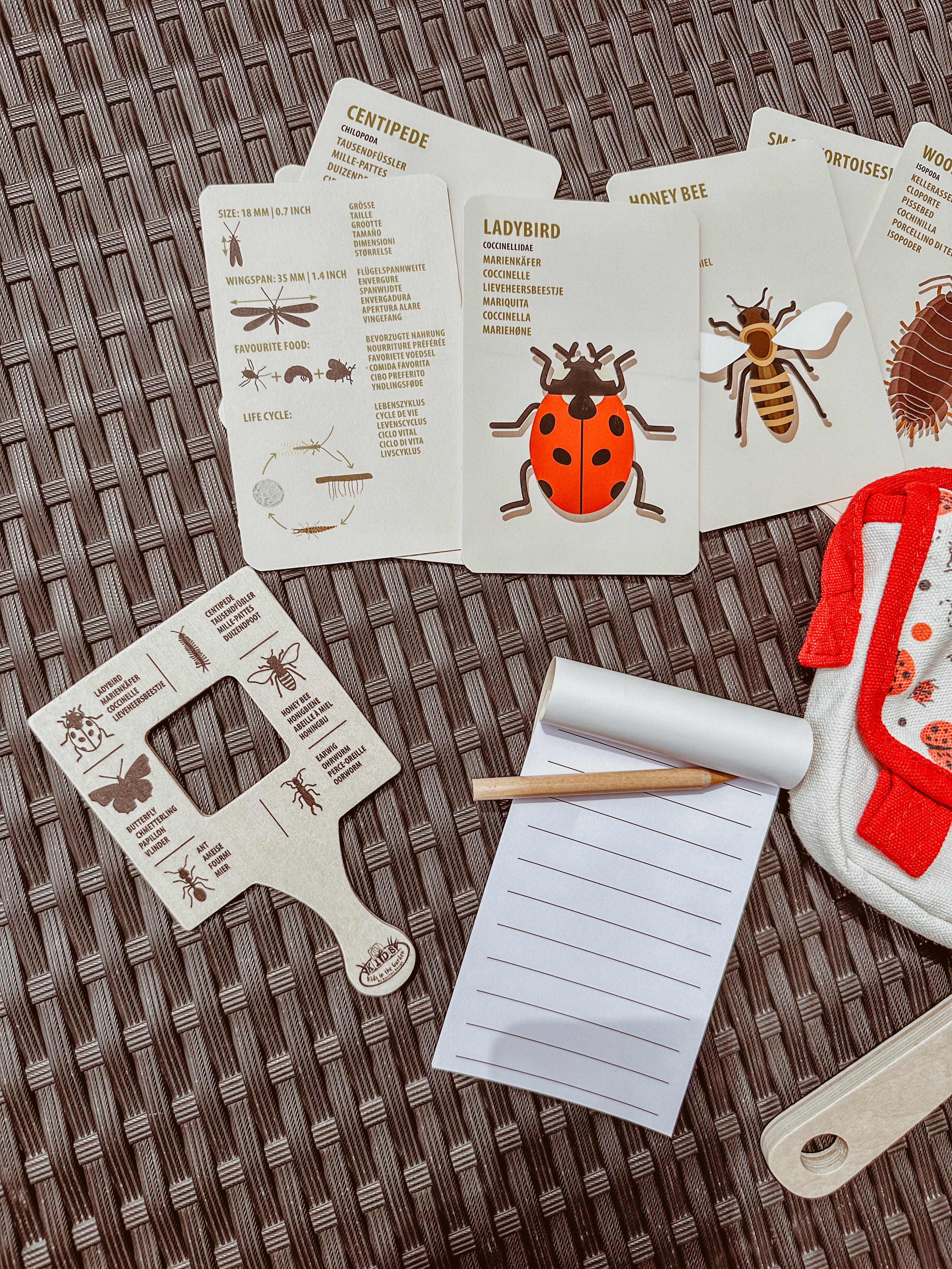 🐞 Ontdekkerstas: insecten 🐞