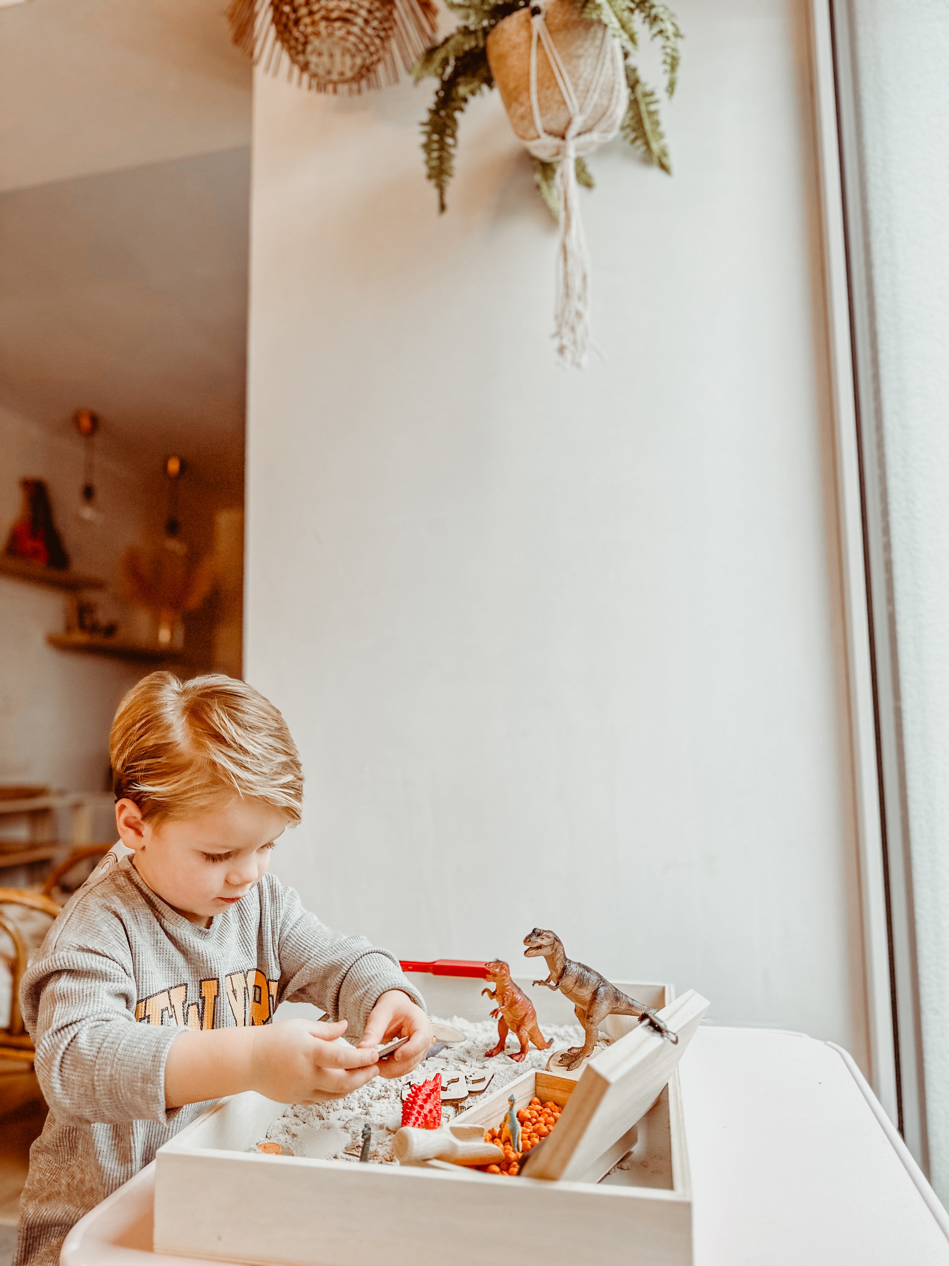 Dino Sensory Box