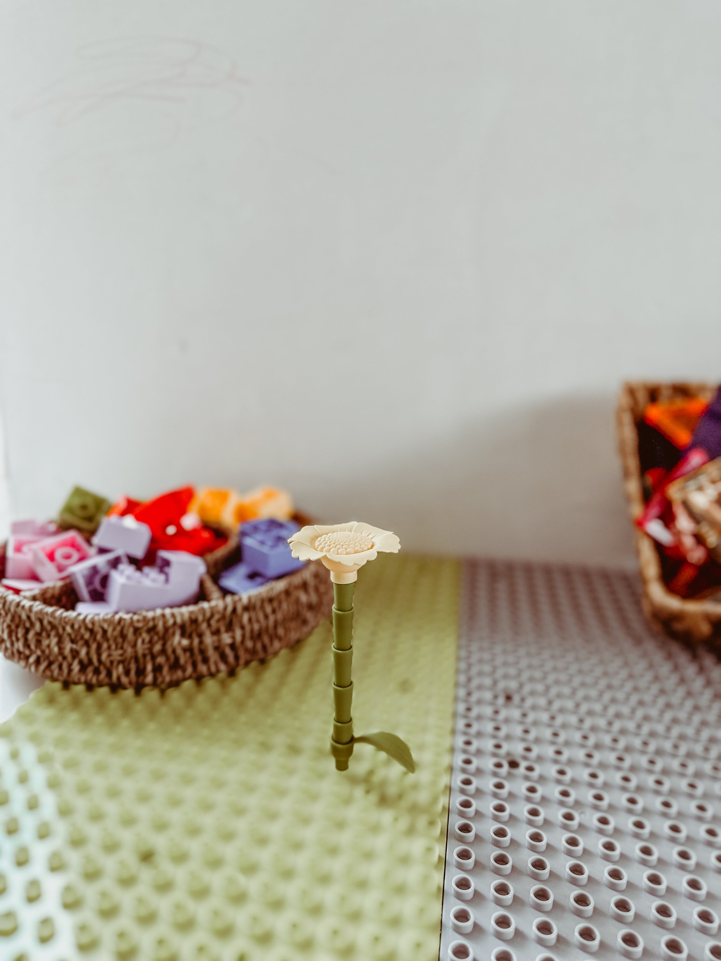 💐🌼 Mijn bloemenweide 🌼💐