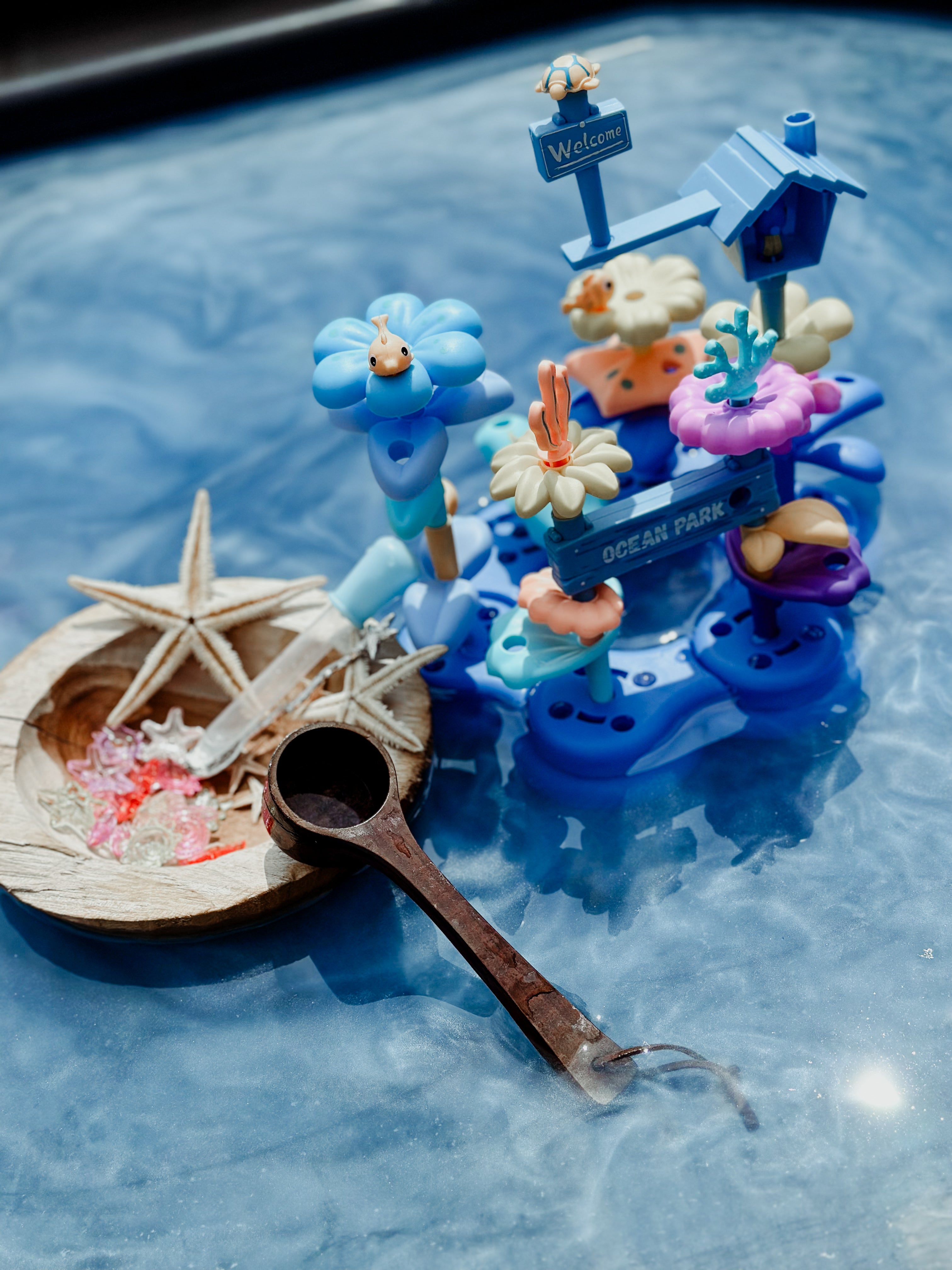 🌊🐠🪸 OCEAANPARK 🪸🐠🌊