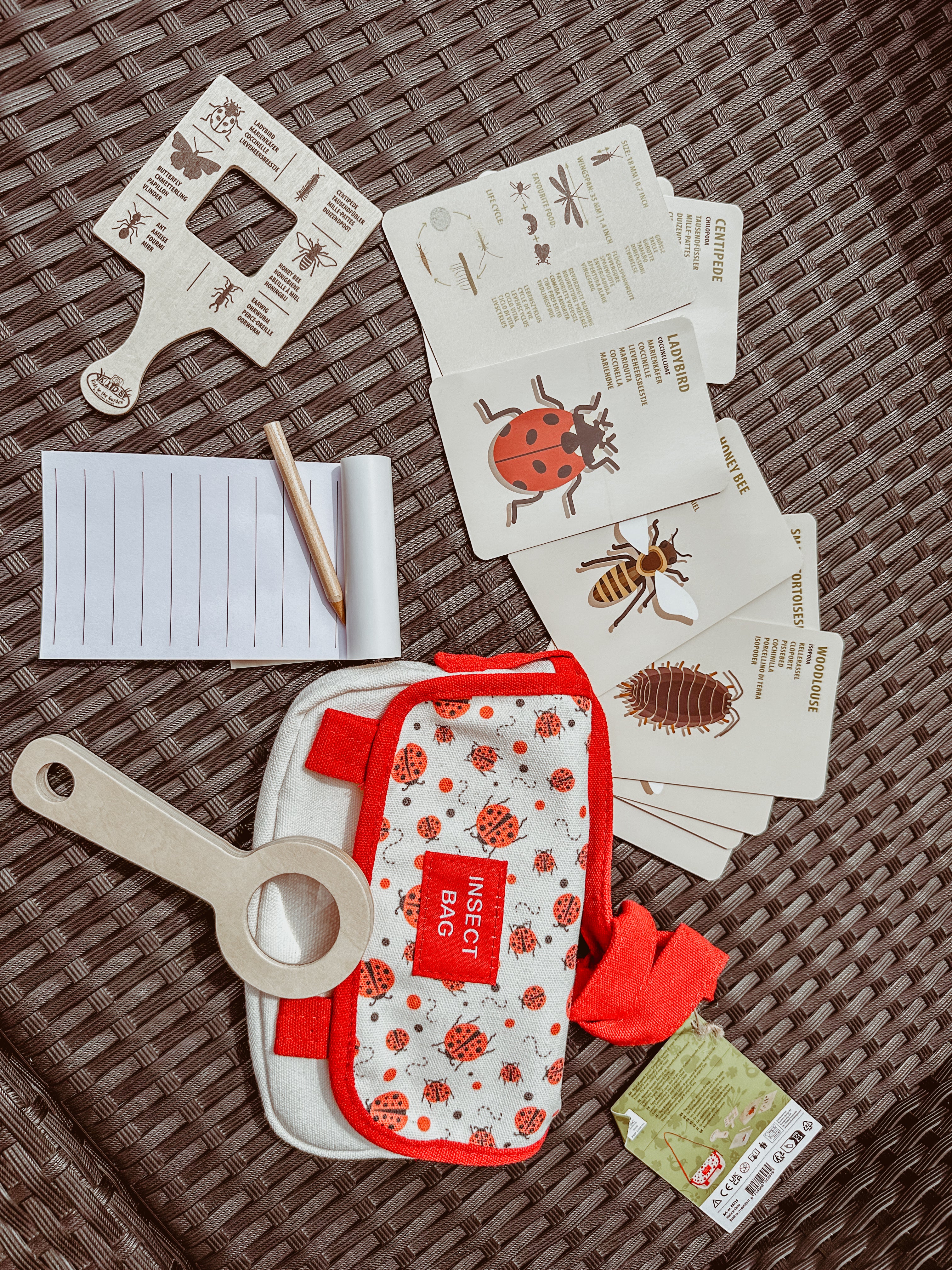 🐞 Ontdekkerstas: insecten 🐞