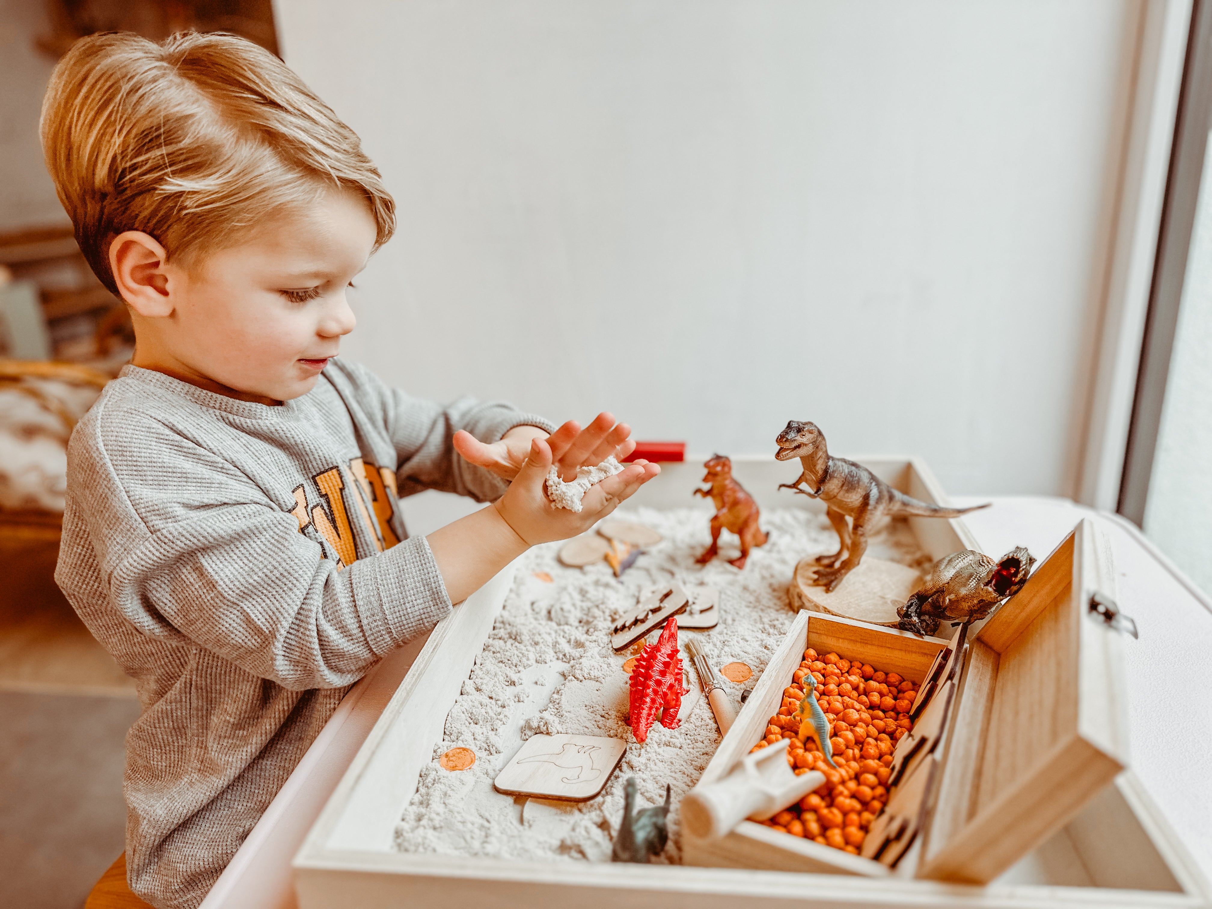 Dino Sensory Box