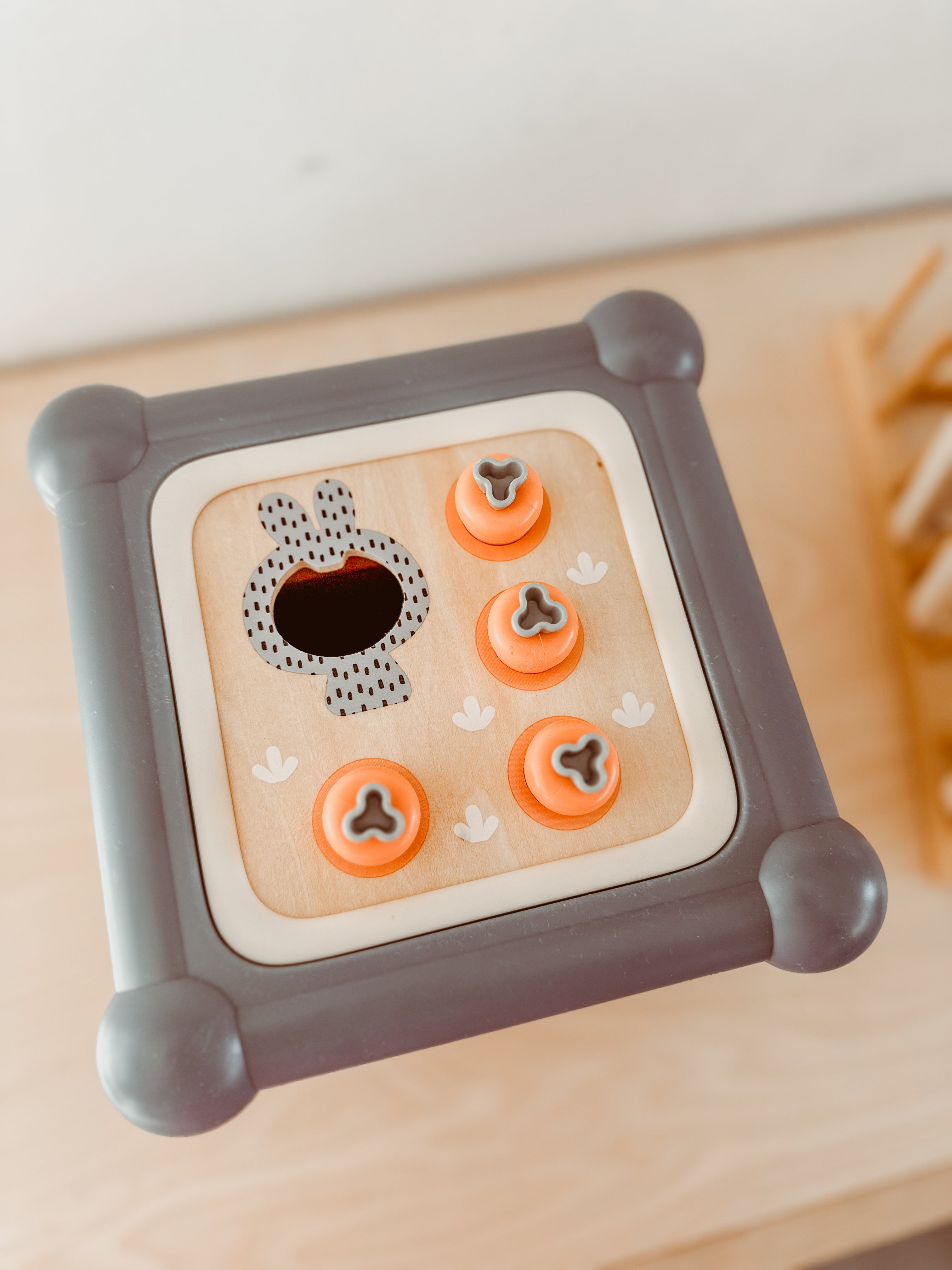 🥕🔸 Top Bright: Motoric Master 10 in 1 🔸🥕