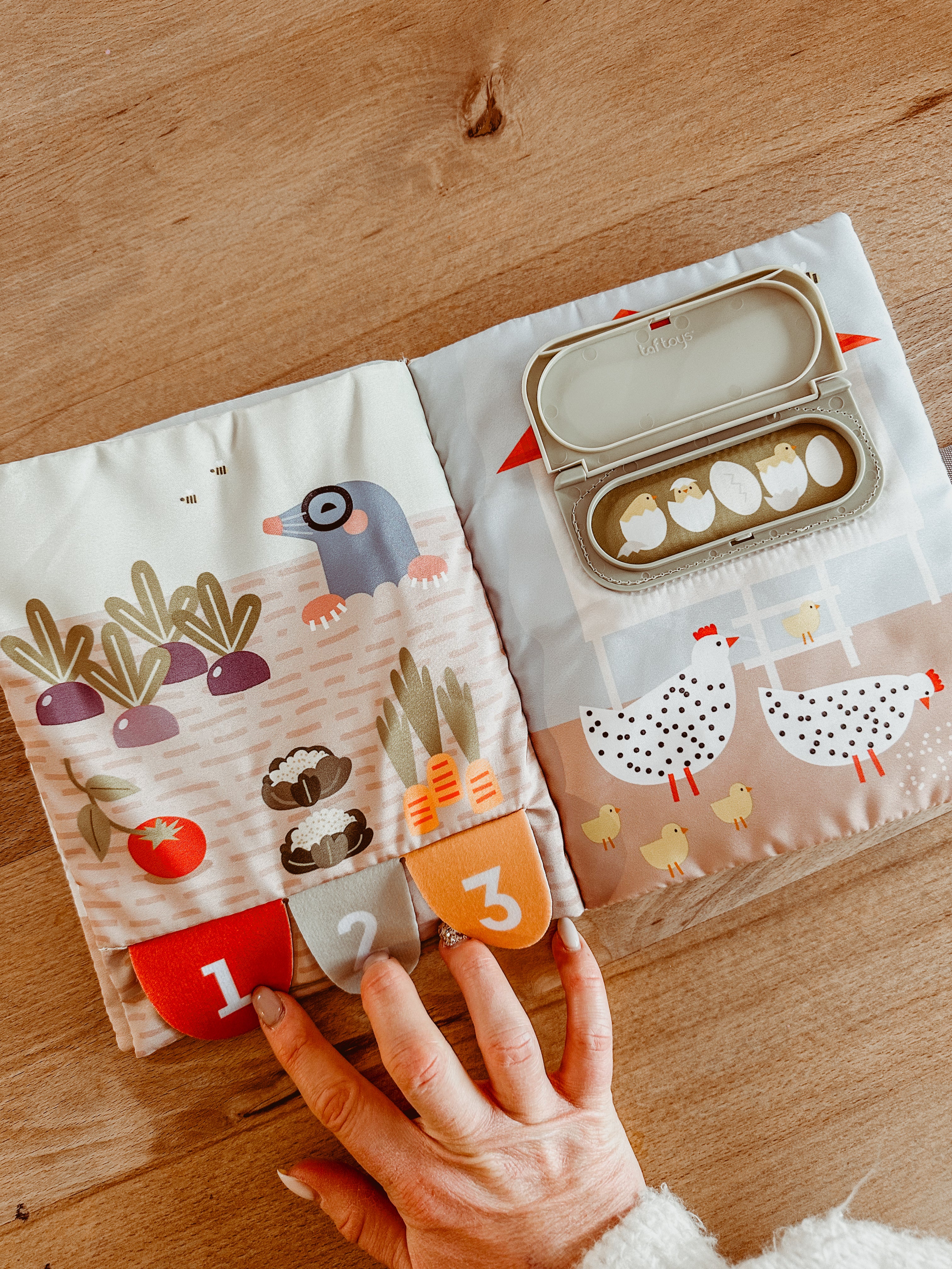 Mijn eerste busyboekje • taf toys  🍓