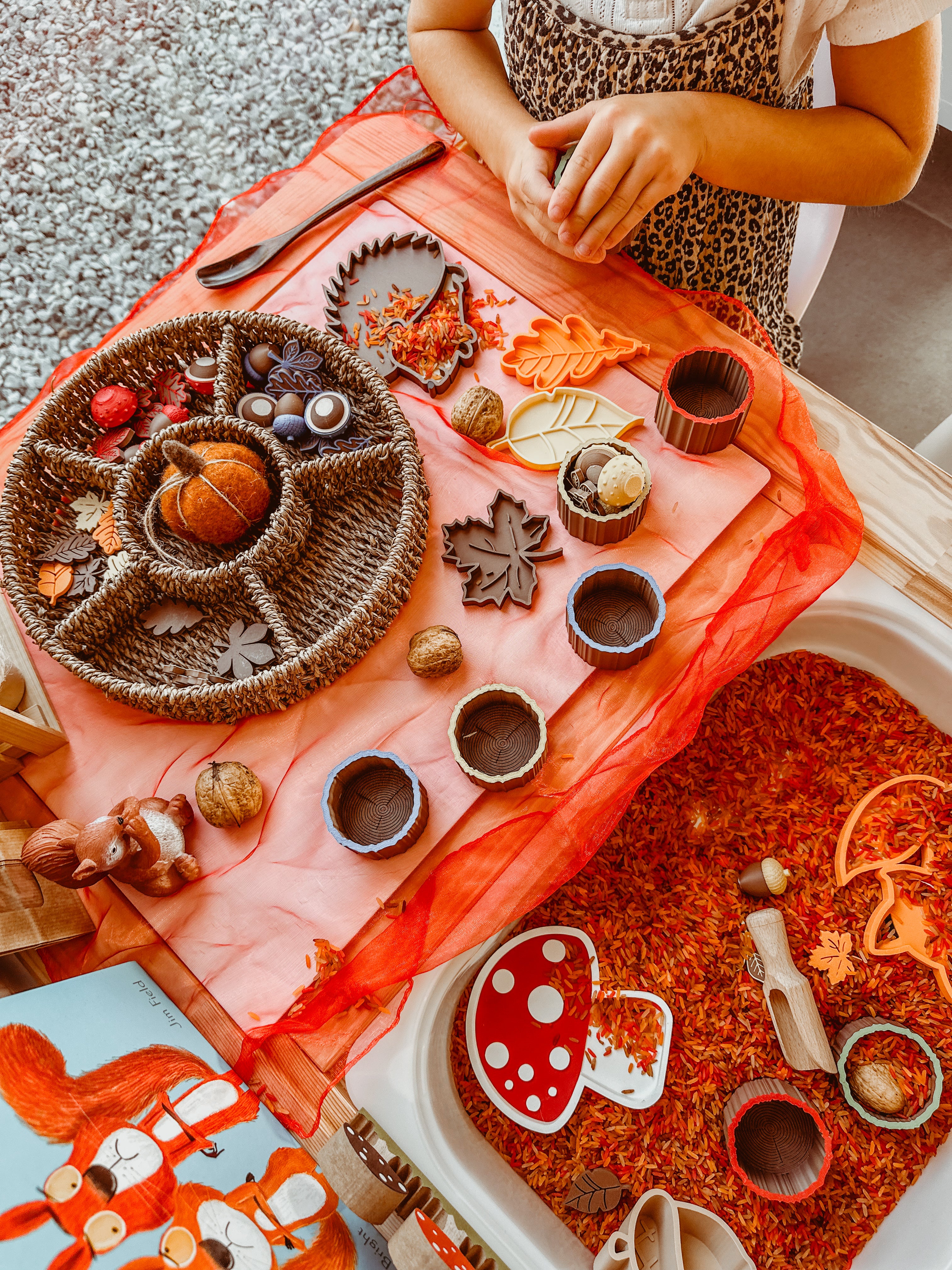 🌳🌰 Het kleurenbos 🌰🌳