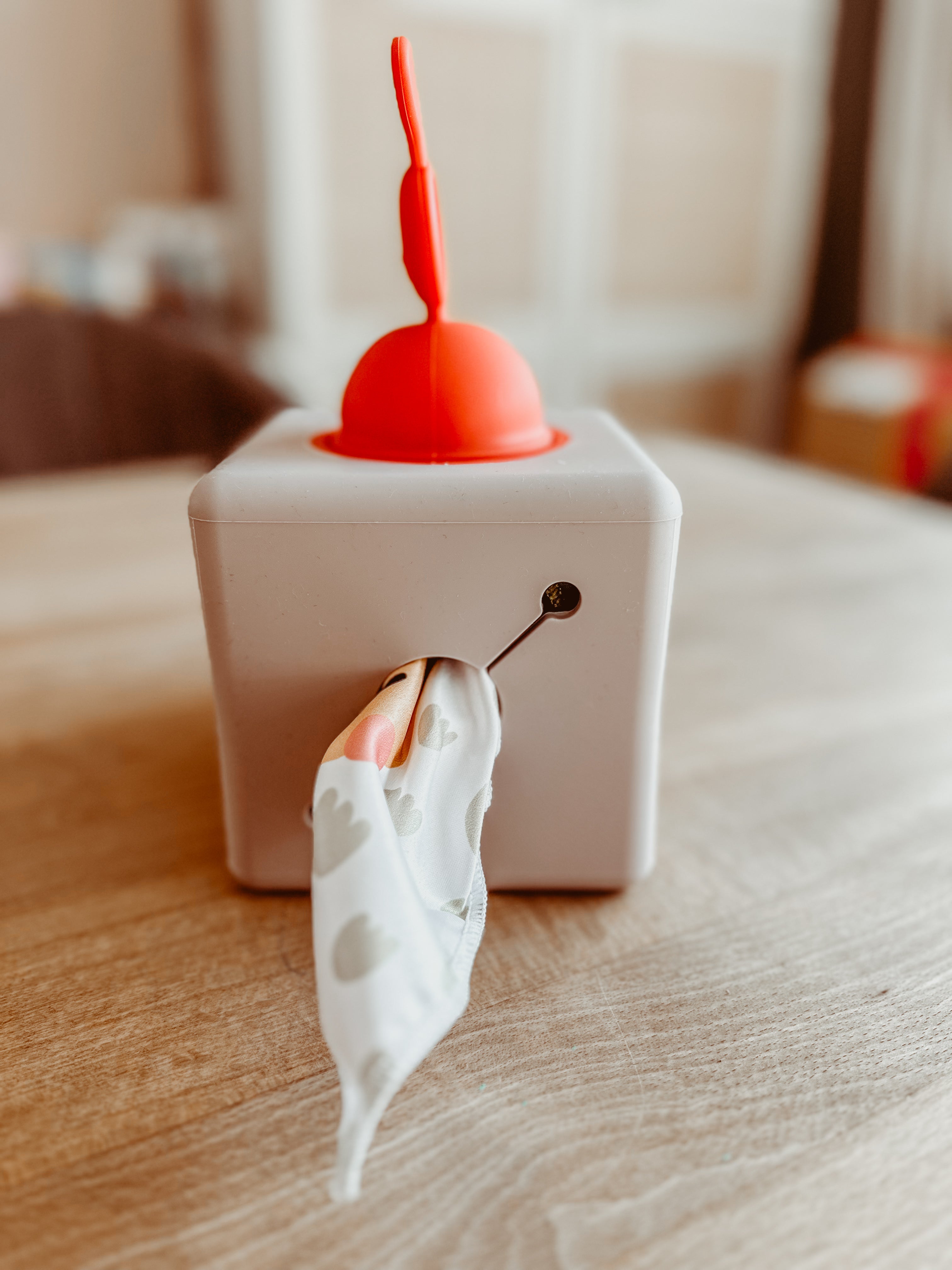 🪄🐰 Pop-up tissue box 🐰🪄