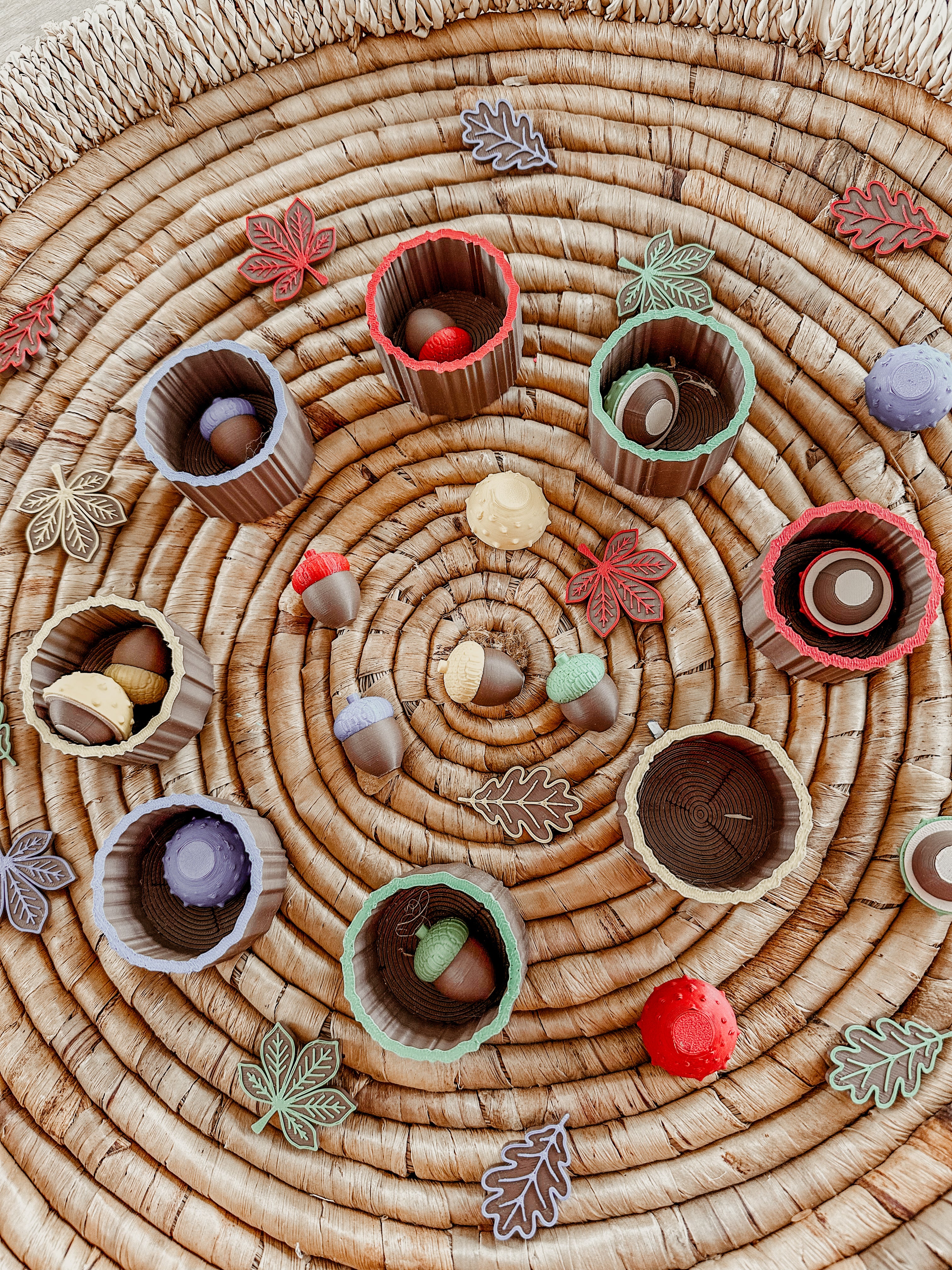 🌳🌰 Het kleurenbos 🌰🌳