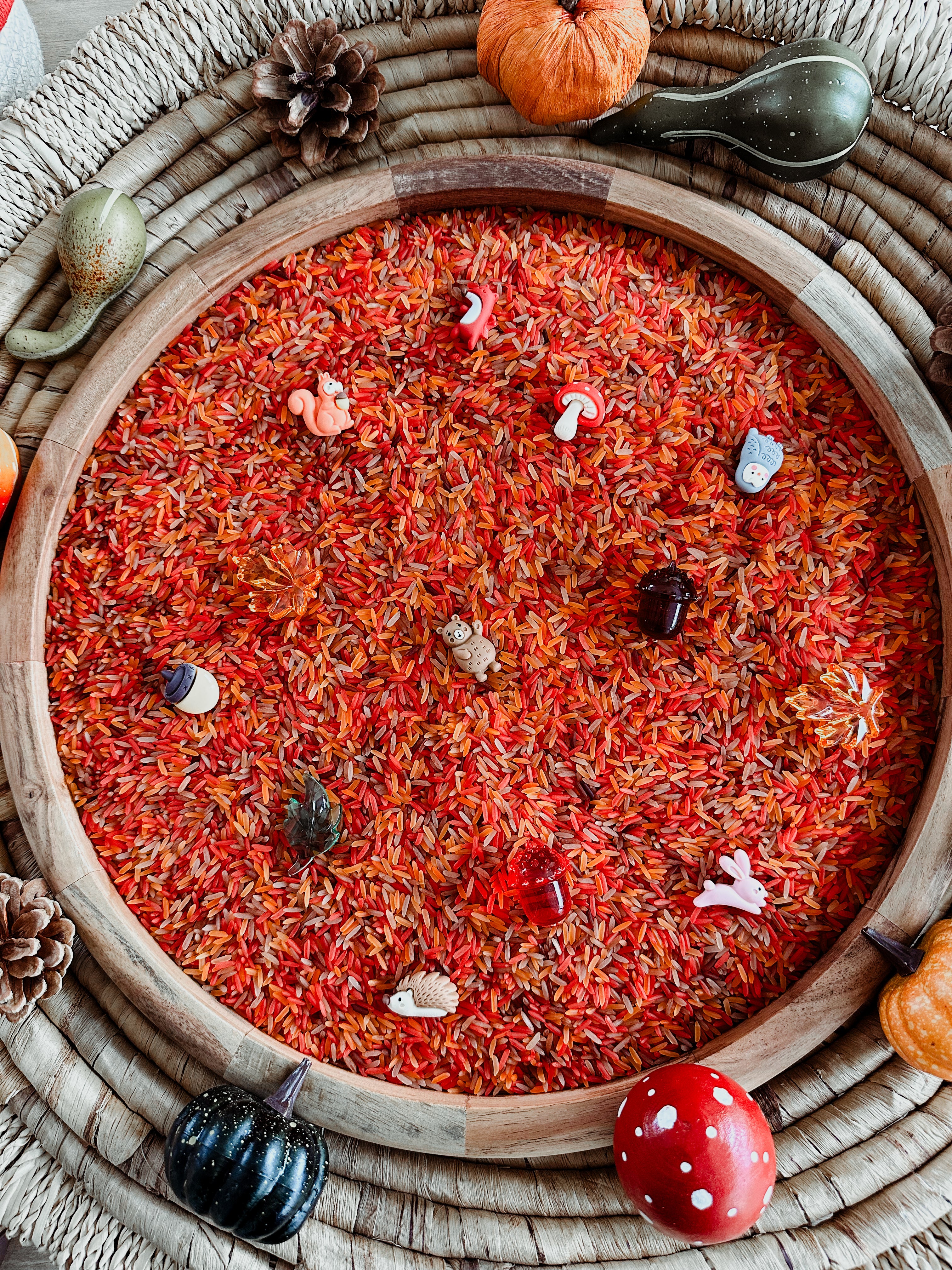 🍁 rijstpakket: thema herfst 🍂