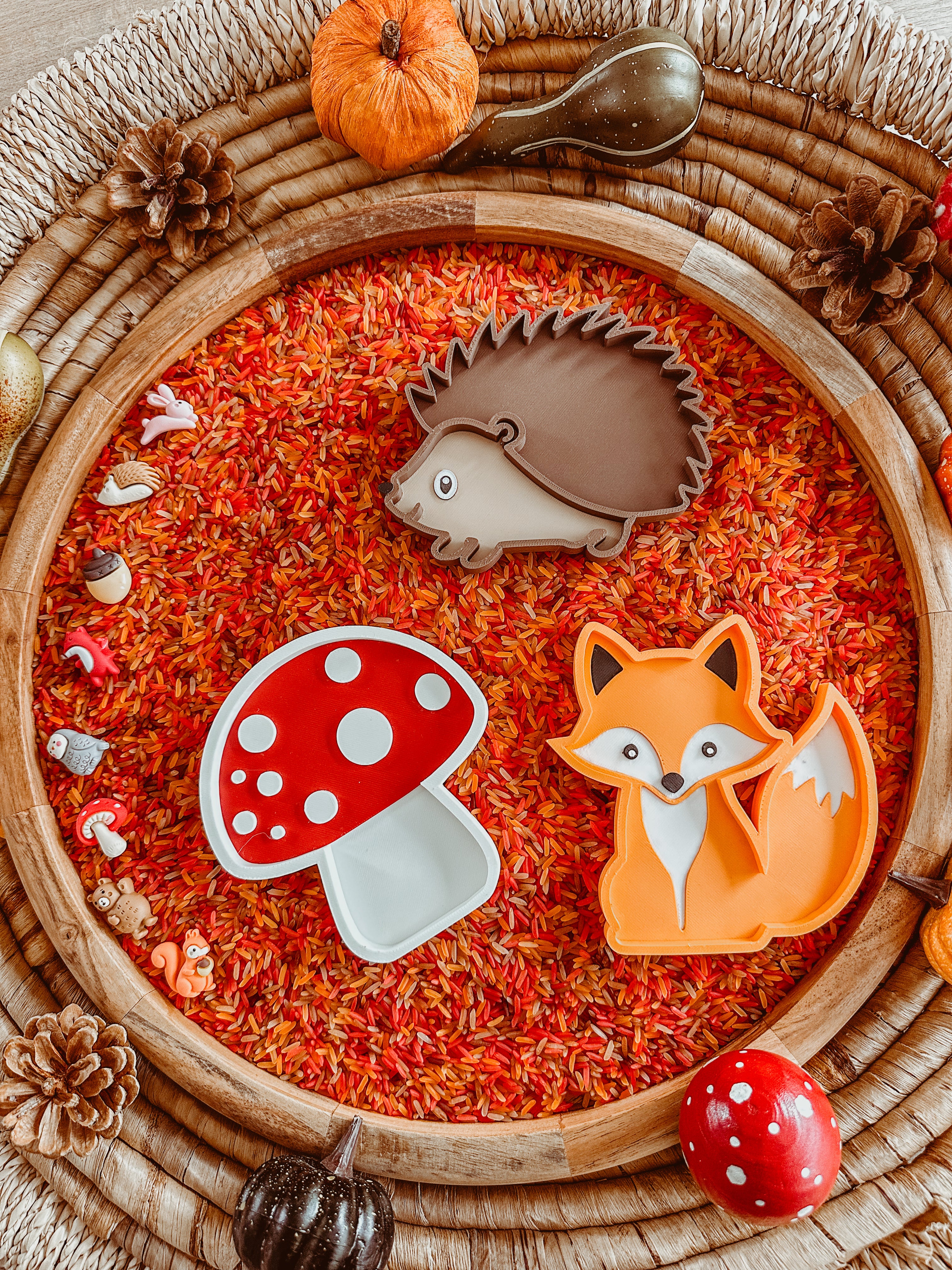 Vulvormpjes thema: HERFST