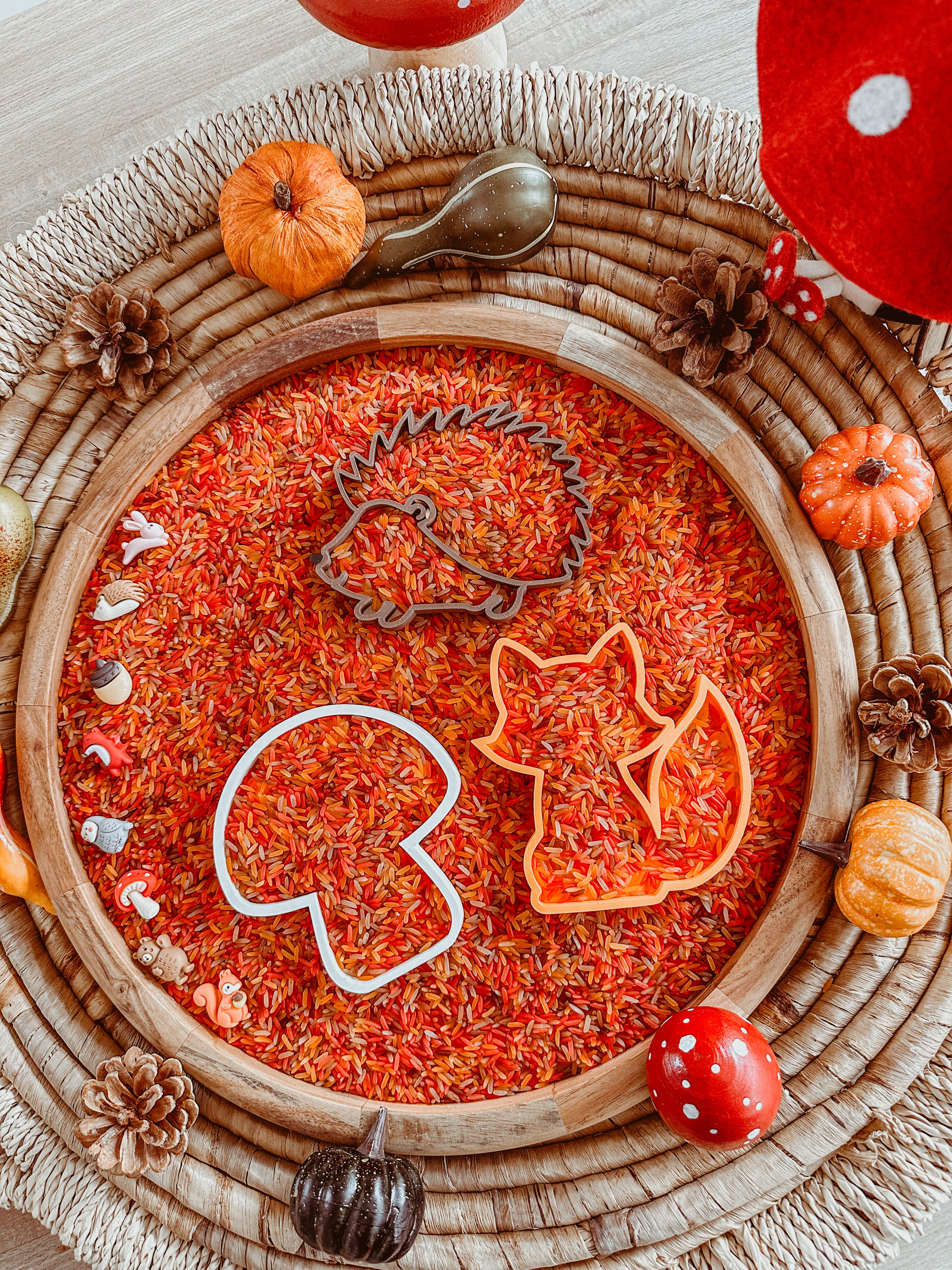 Vulvormpjes thema: HERFST