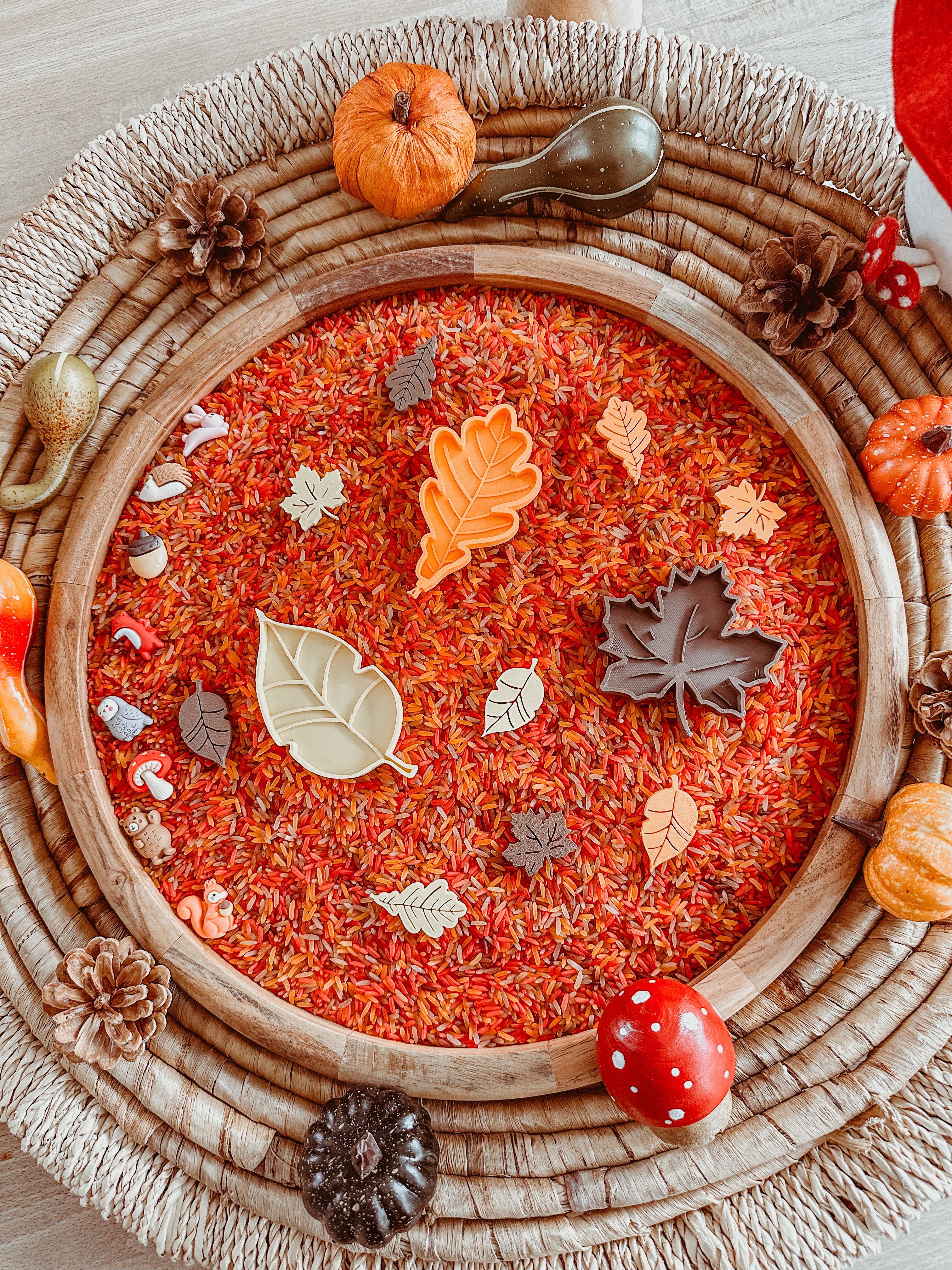 Speel- en sorteerset: herfstblaadjes