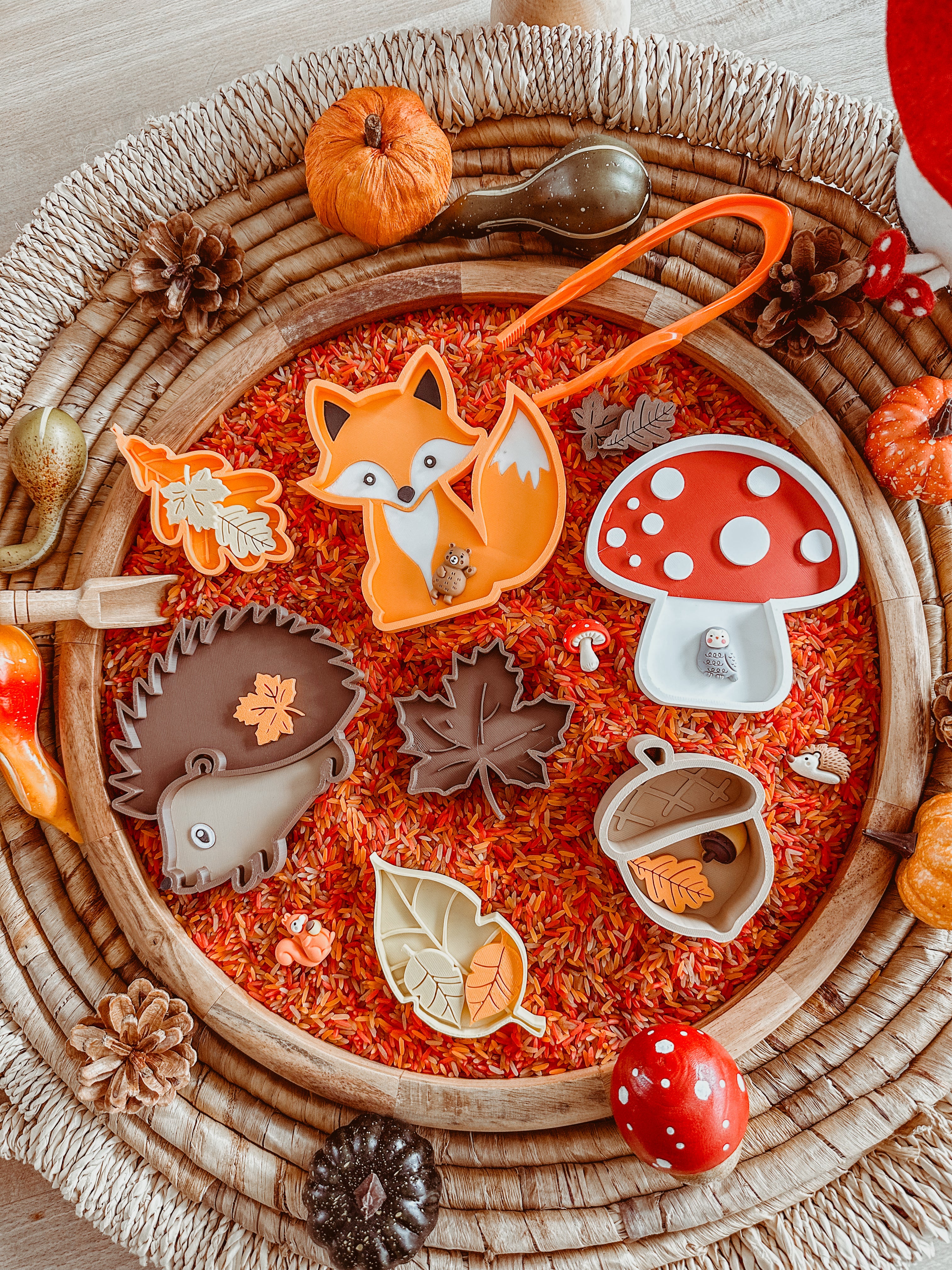 Vulvormpjes thema: HERFST