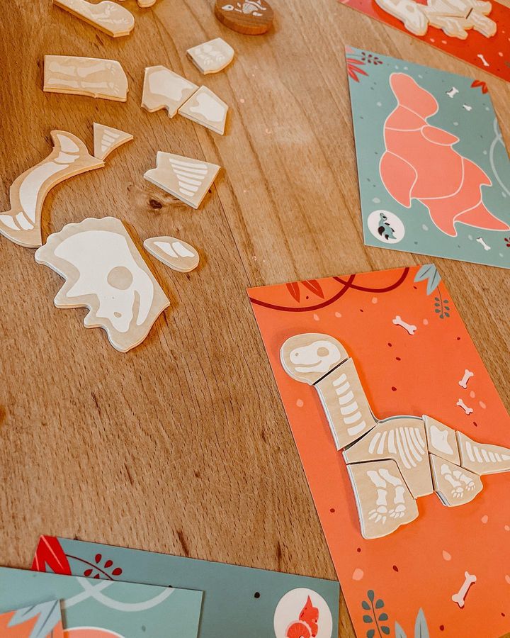 Dino ontdekkingsspel