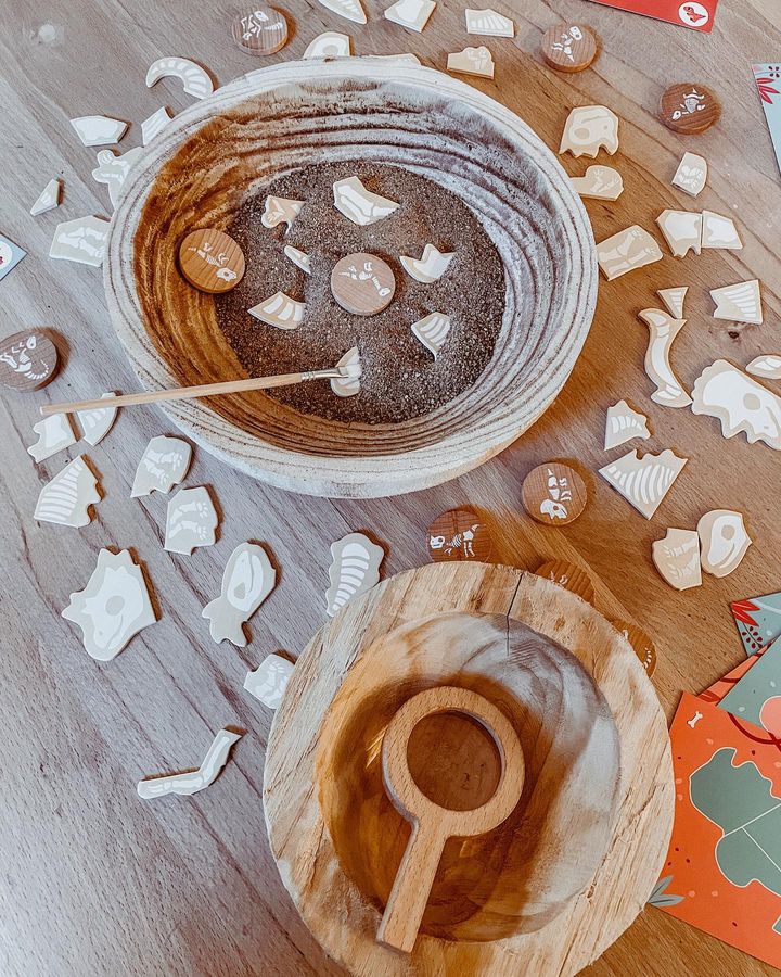 Dino ontdekkingsspel