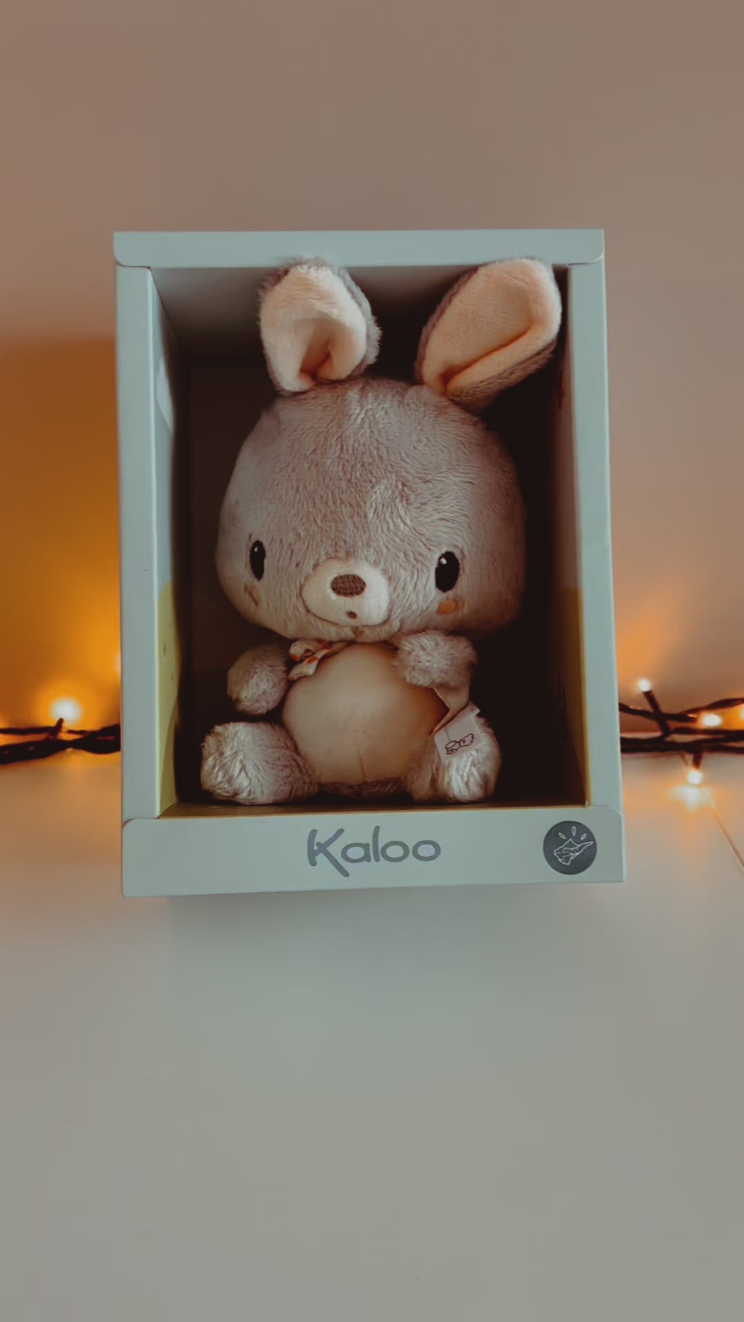 🐰 Bonbon konijn 🐰